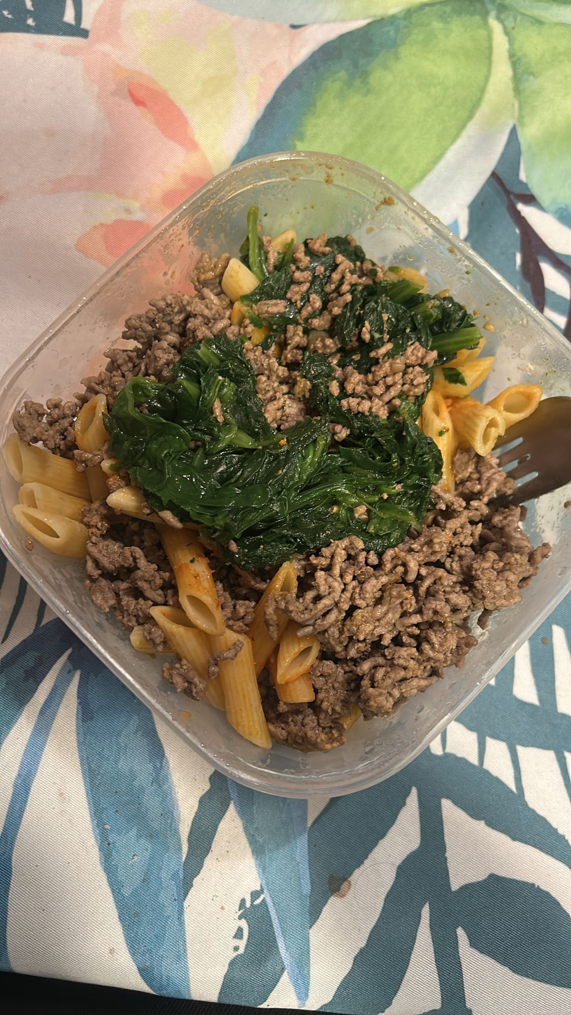 Beef Pasta with Spinach