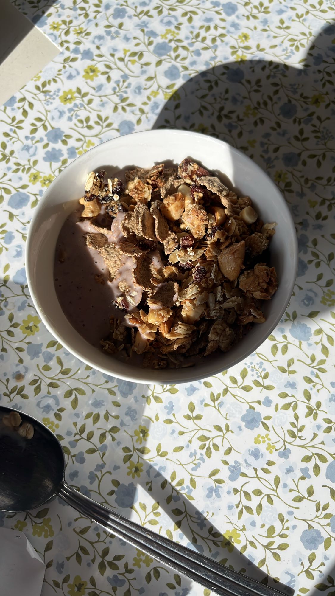 Yoghurt med müsli