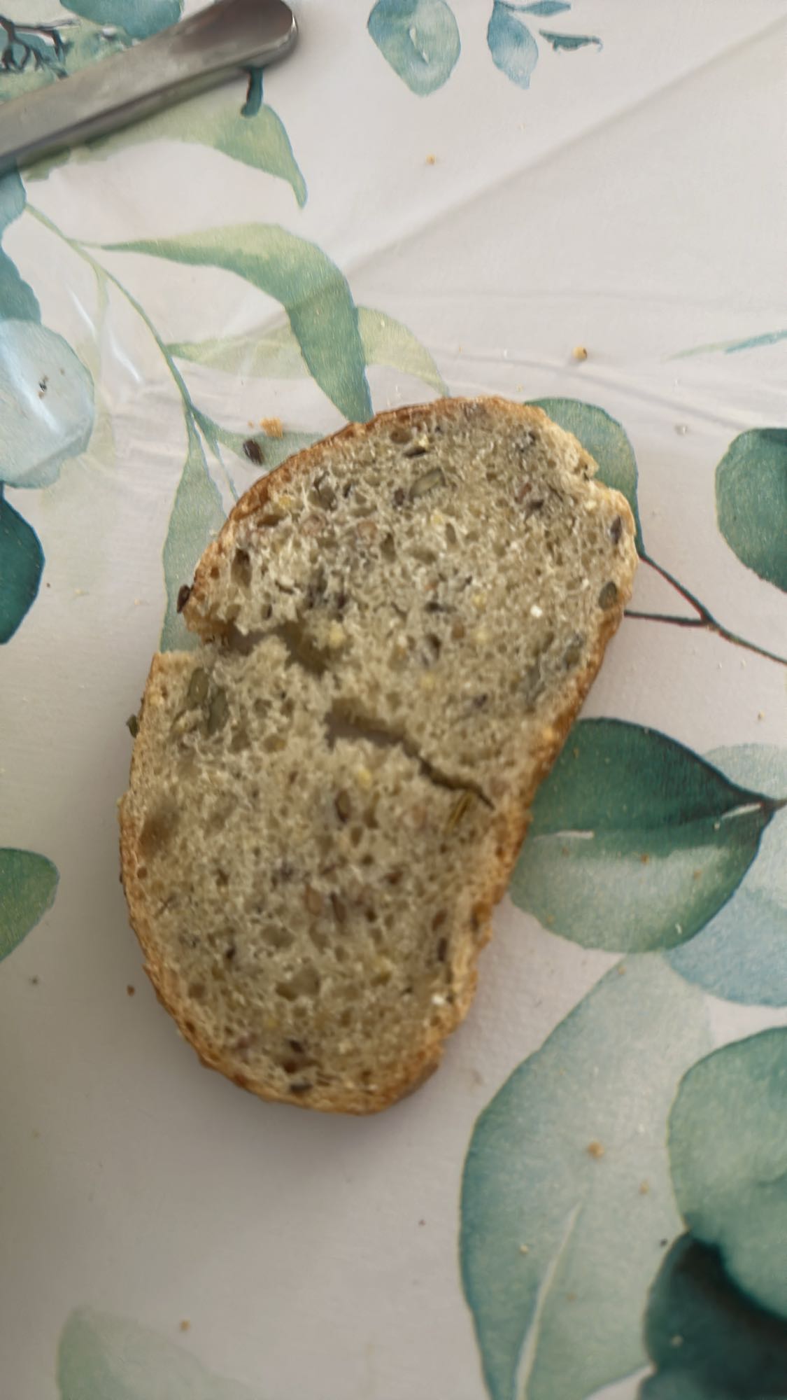 Tranche de pain aux graines