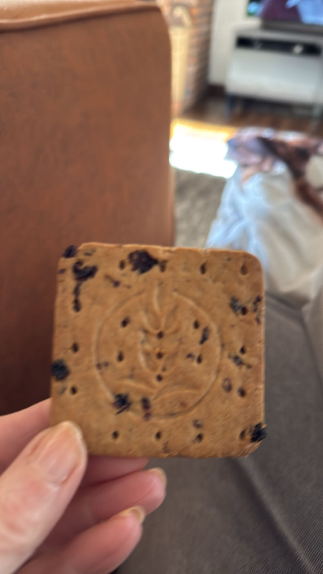 Haverkoekje met rozijnen