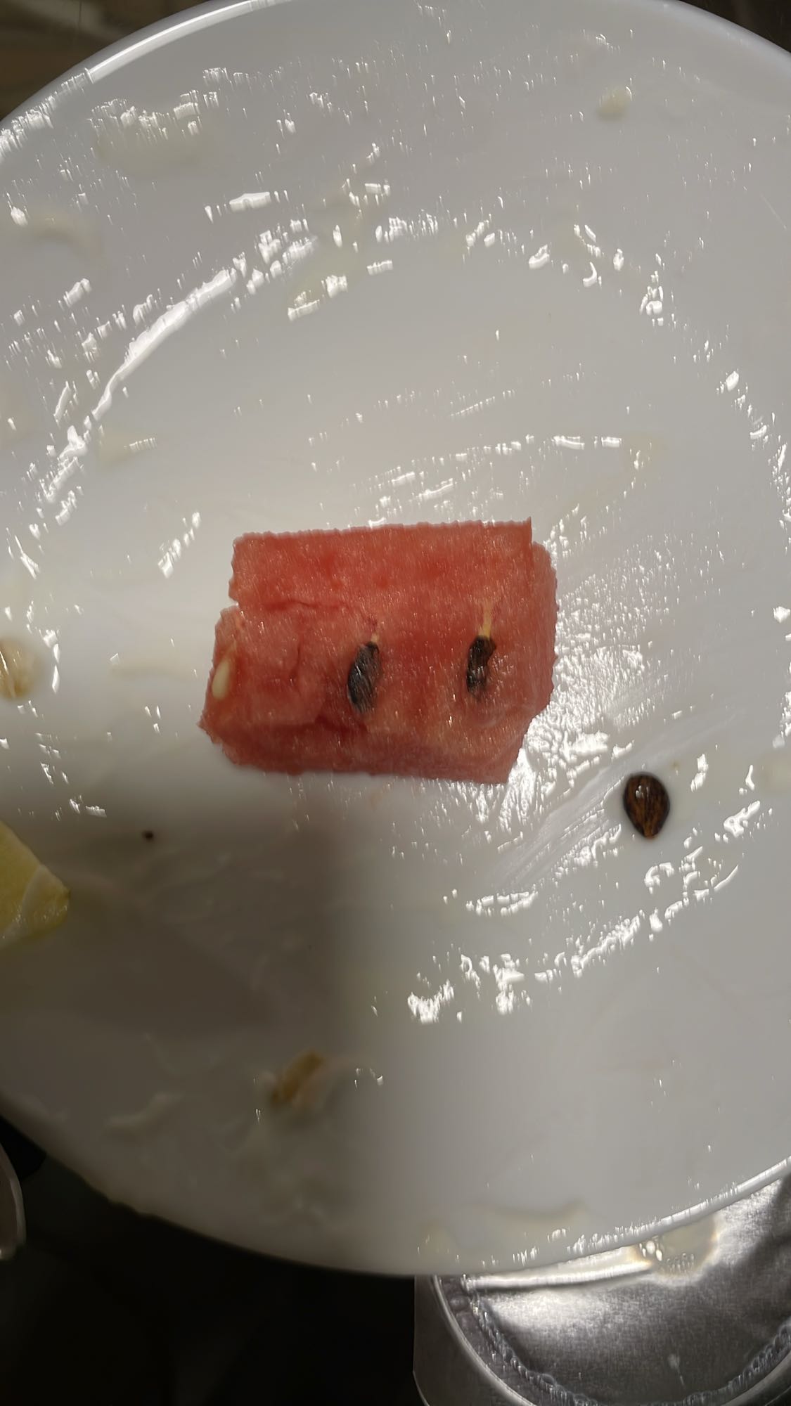 Petit morceau de pastèque