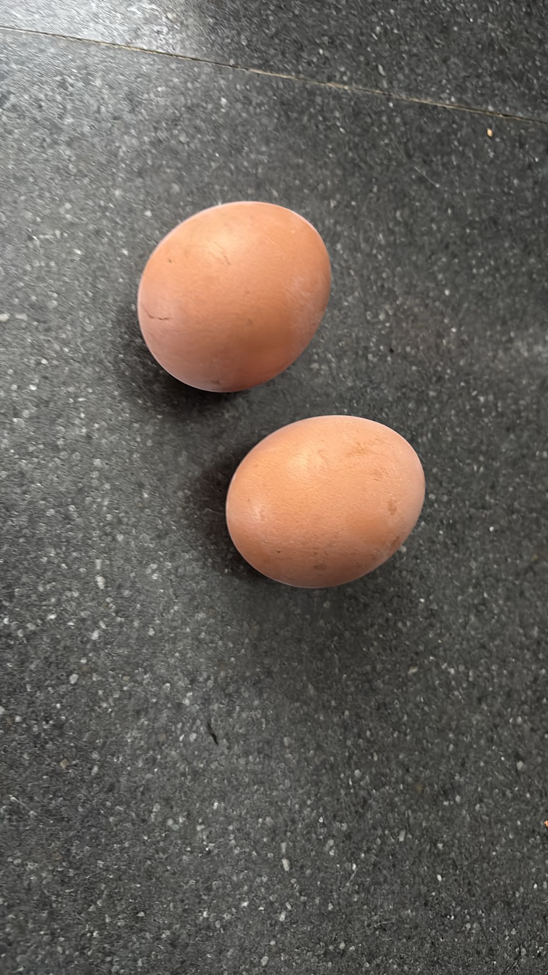 Deux œufs entiers