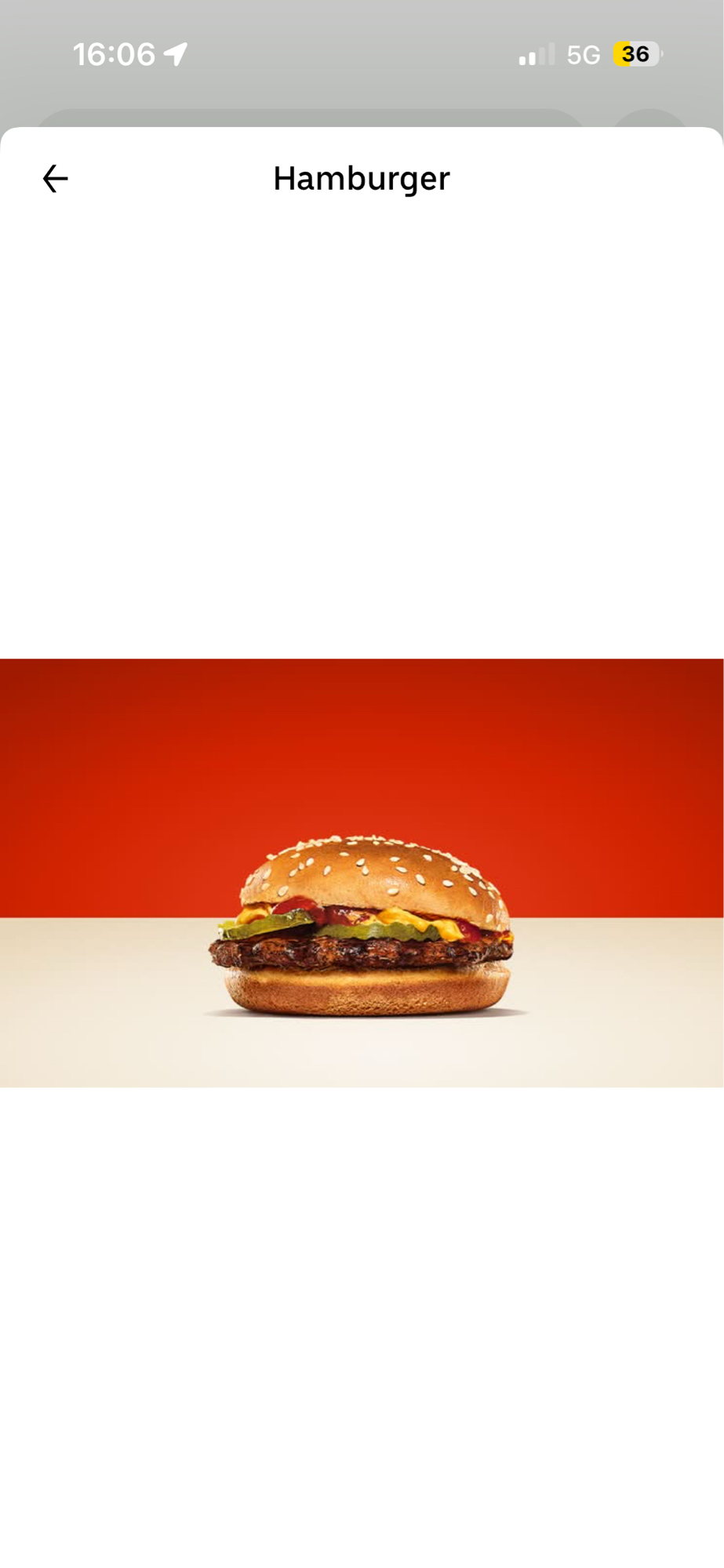 Hamburger classique