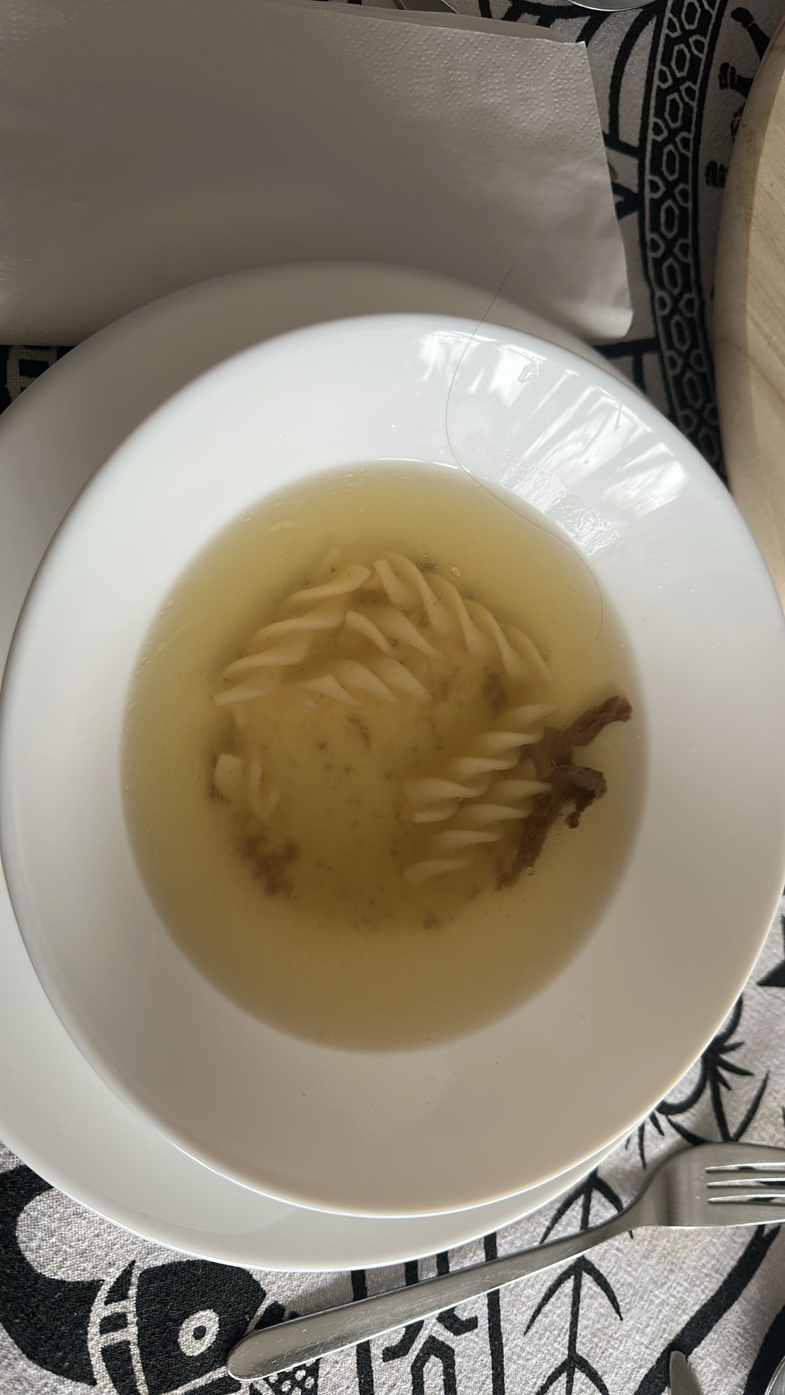 Chicken Noodle Soup