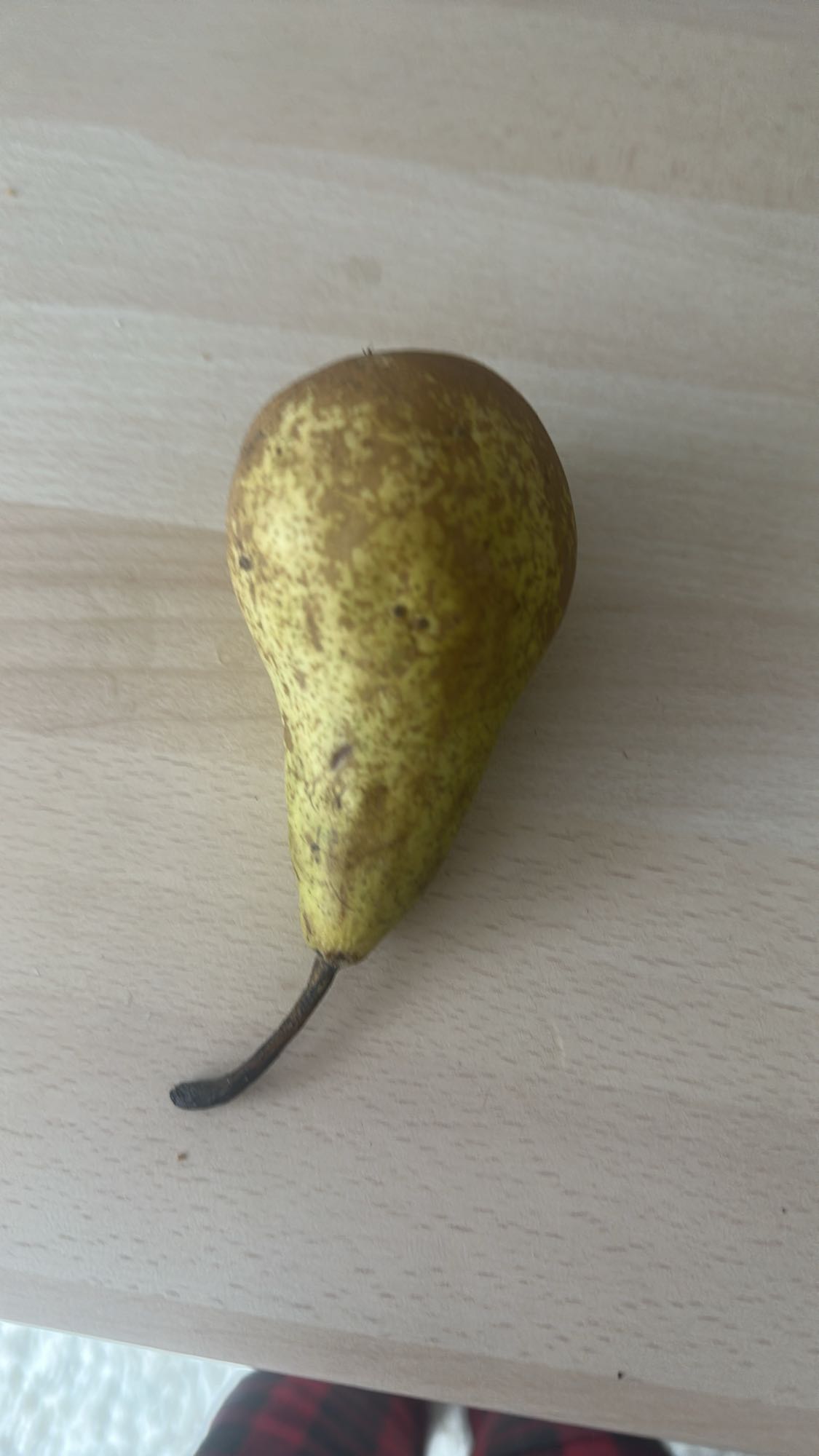 Armut
