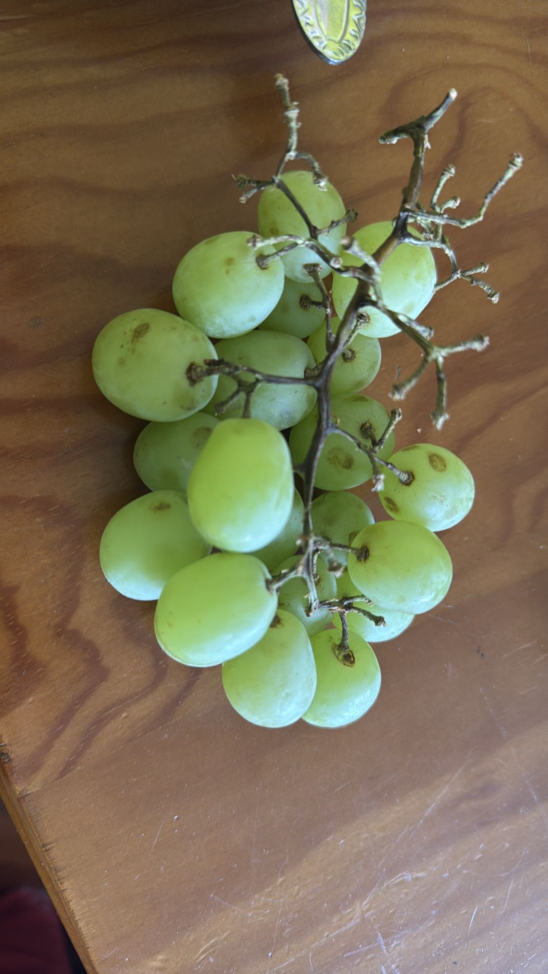 uvas verdes