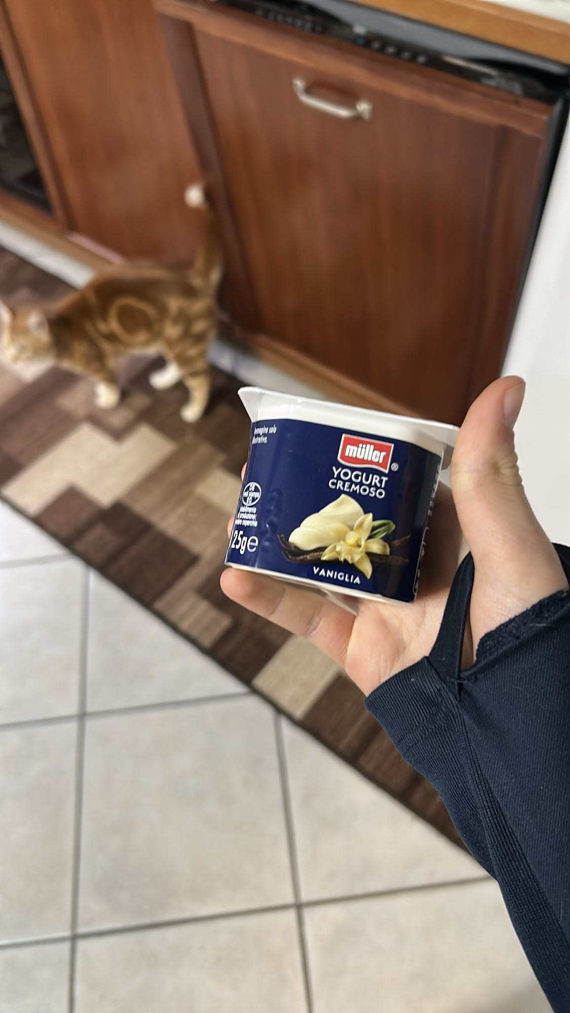 Yogurt cremoso vaniglia