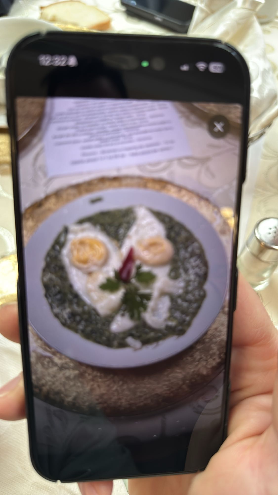 Eggs with Spinach Sauce