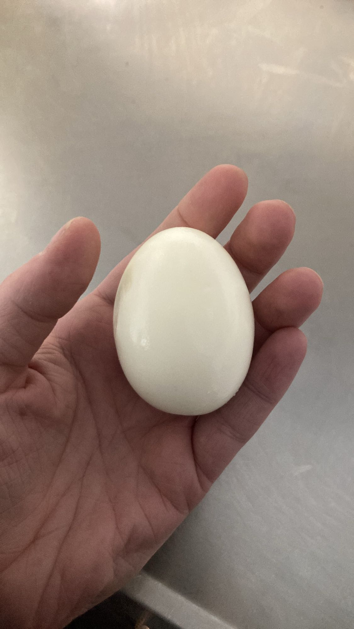 Kokt ägg