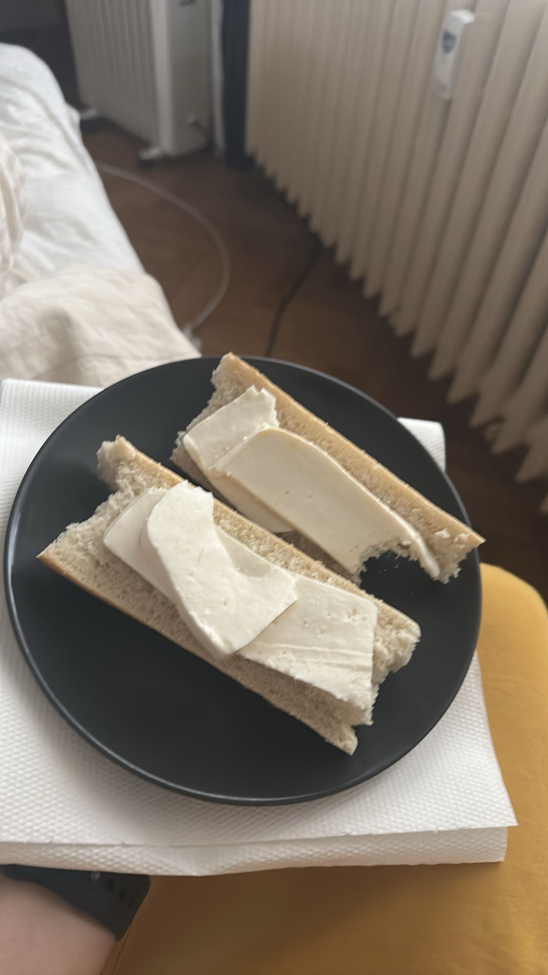 Bread with White Cheese