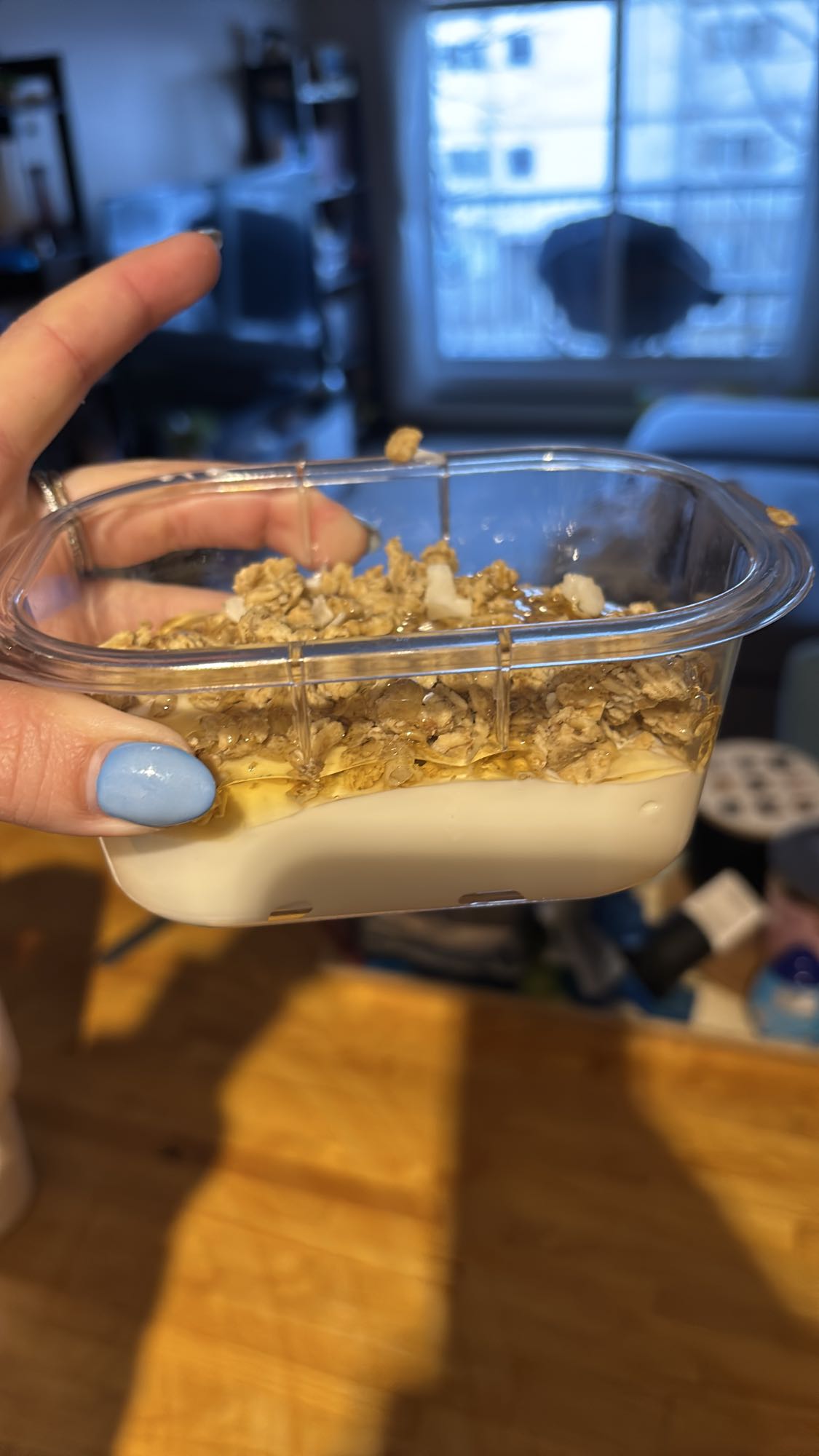 Yogurt Granola Honey