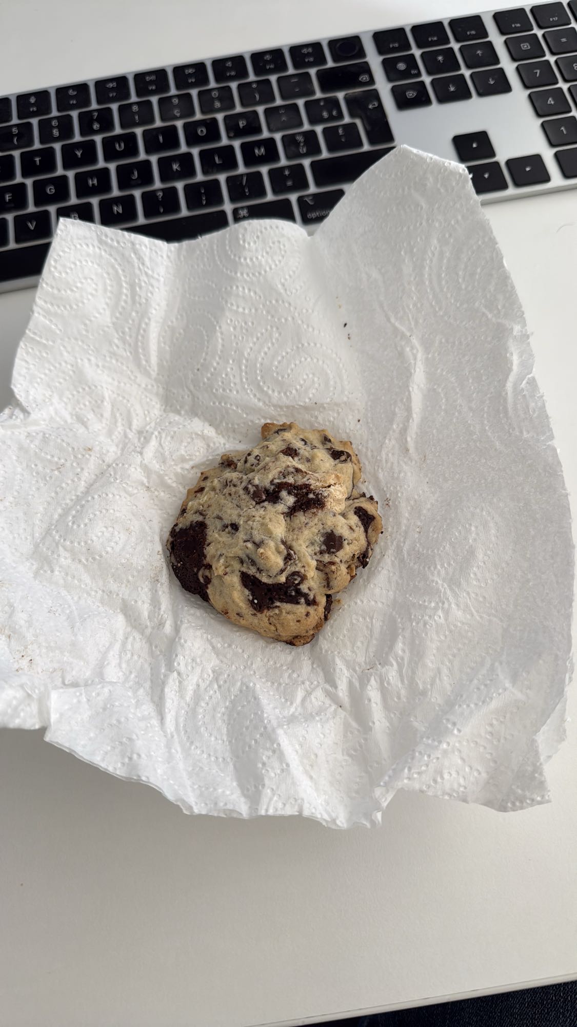 Chocolate Chip Cookie