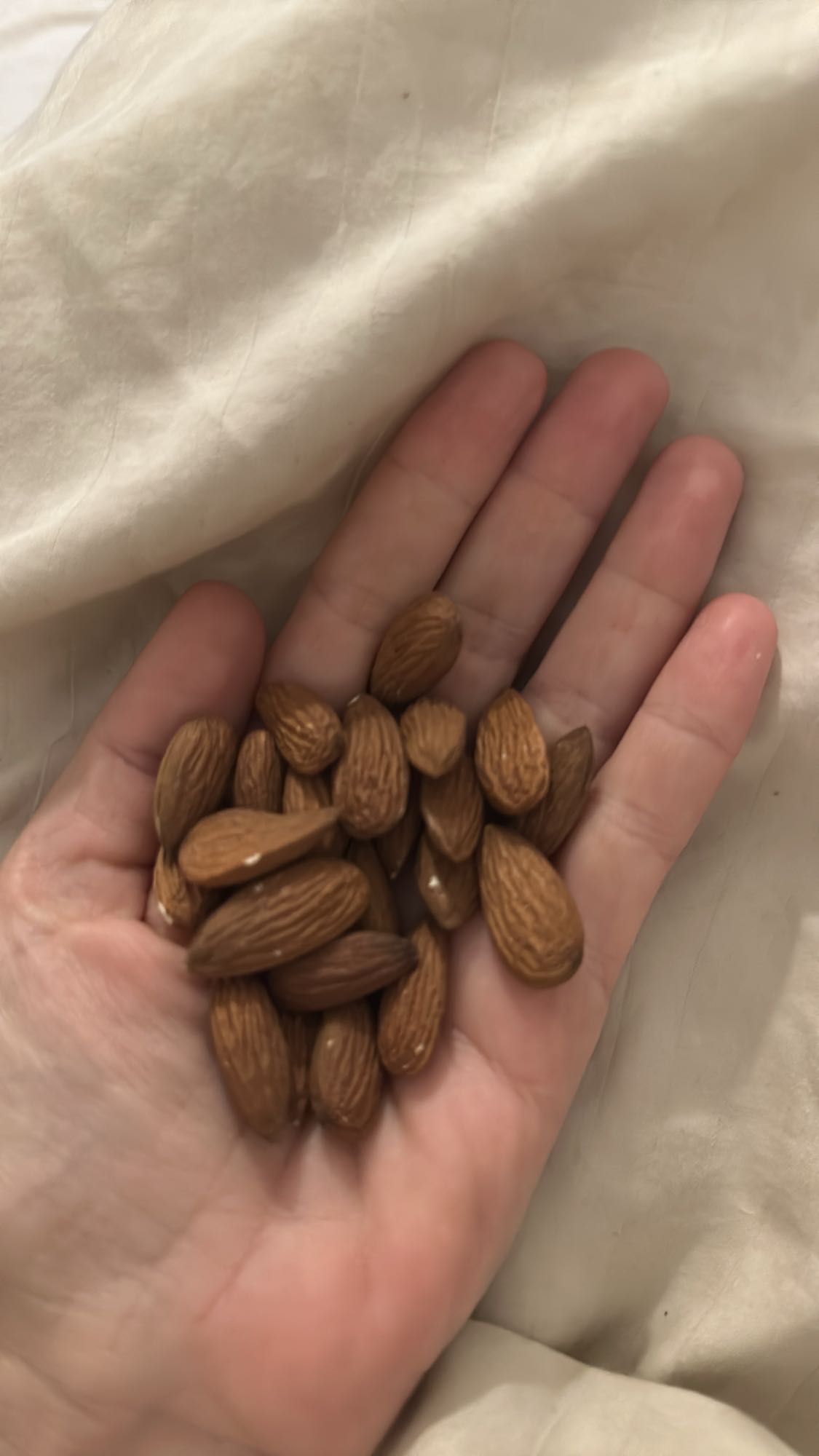 Handful of Almonds