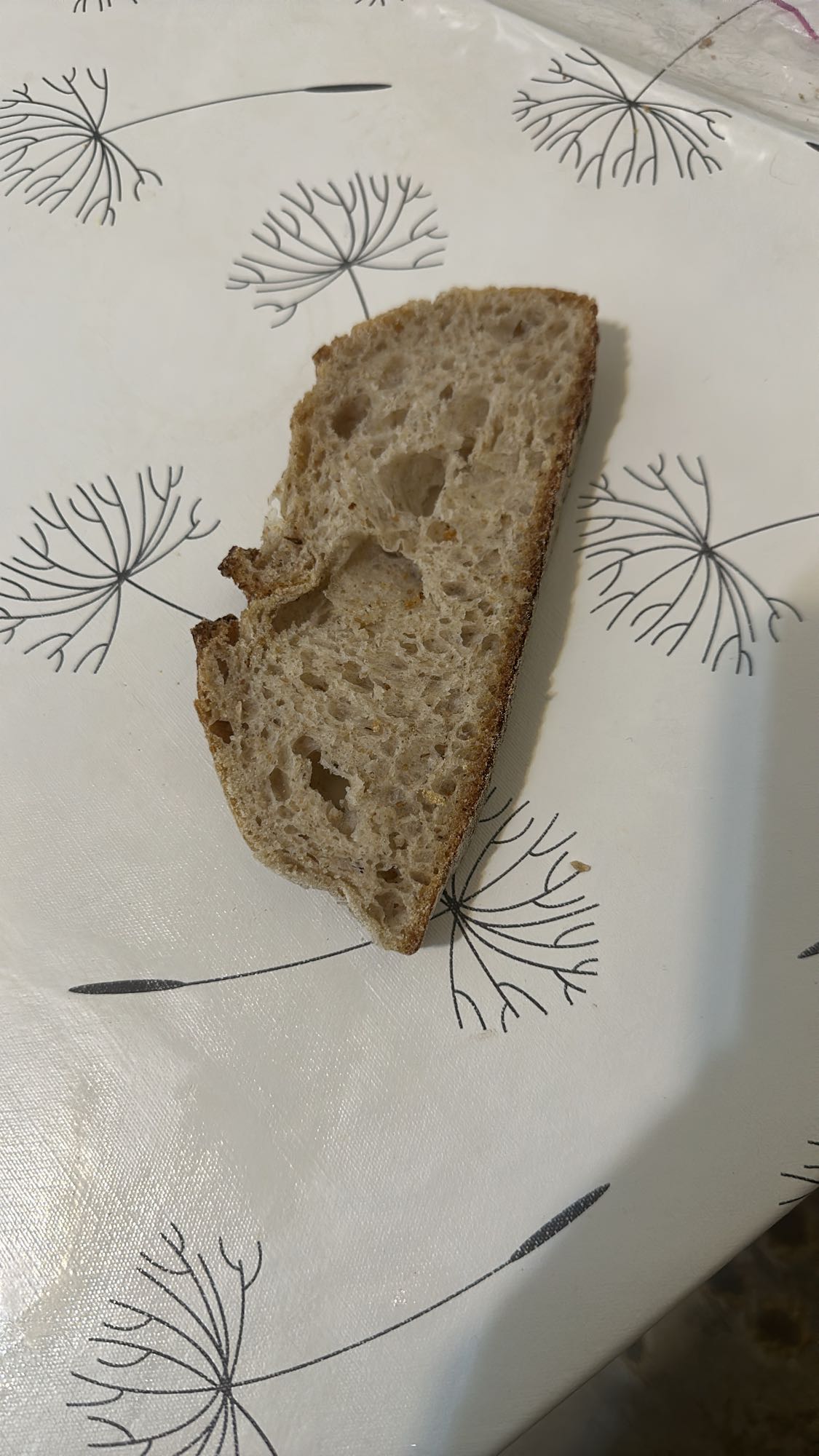 Bread Slice