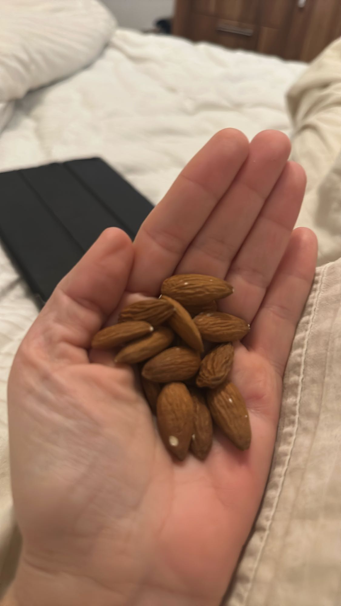 Handful of Almonds