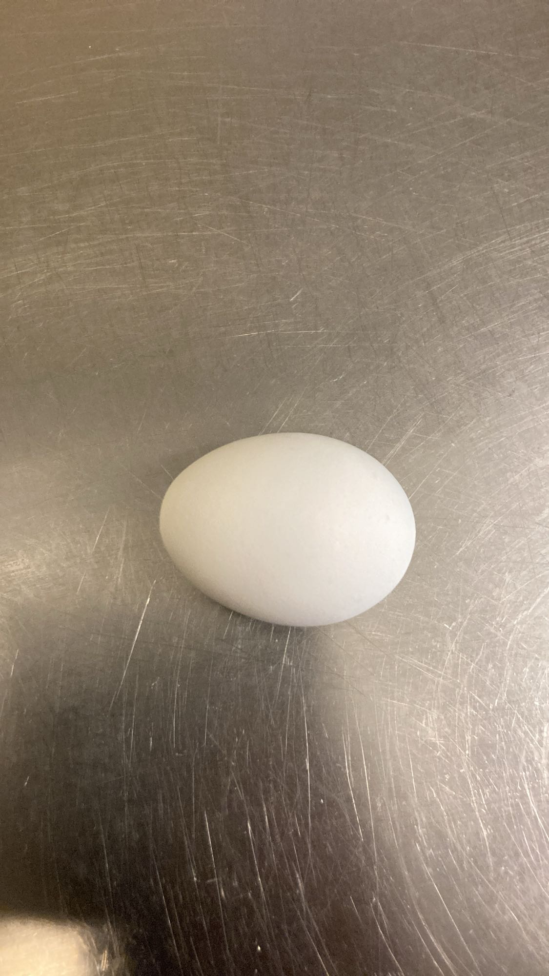 Vitt ägg