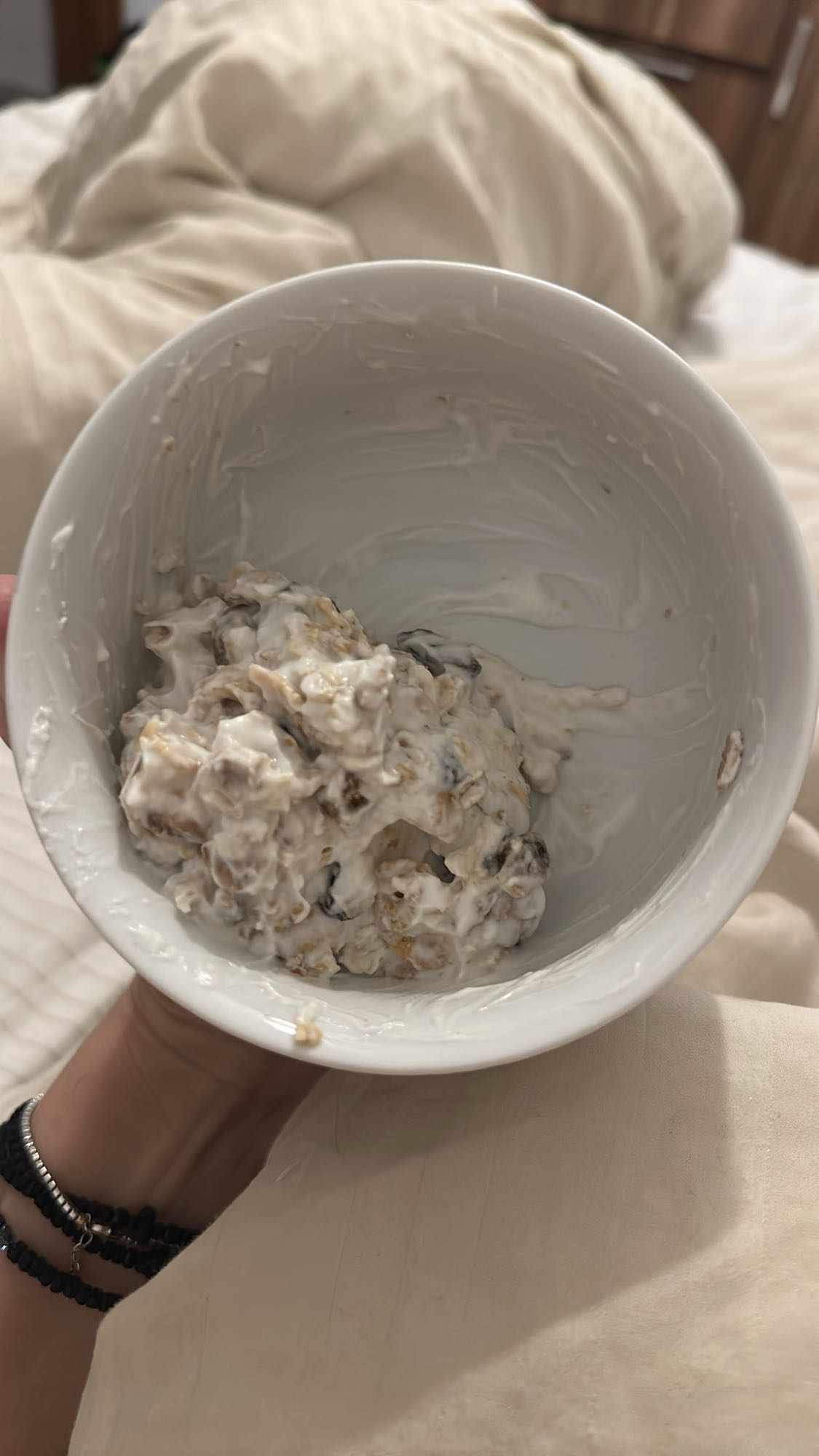 Yogurt Oat Raisin Bowl