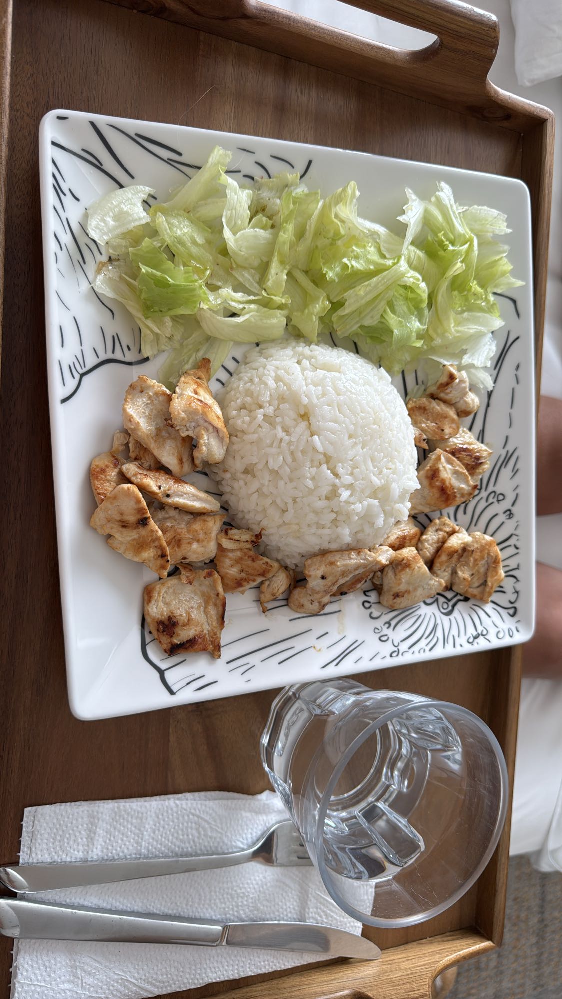 Arroz con pollo y lechuga