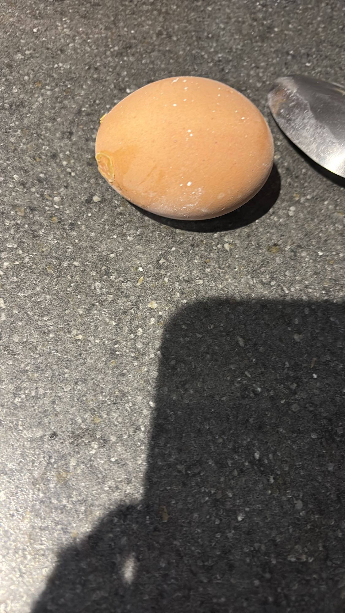 Oeuf entier