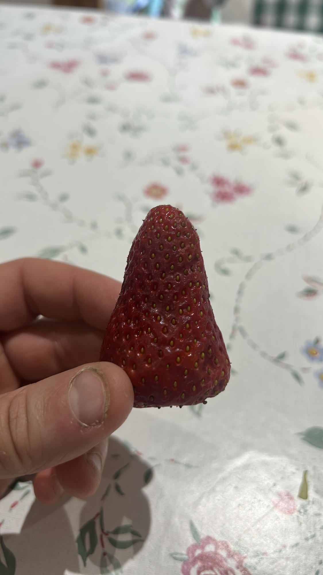 Fragola