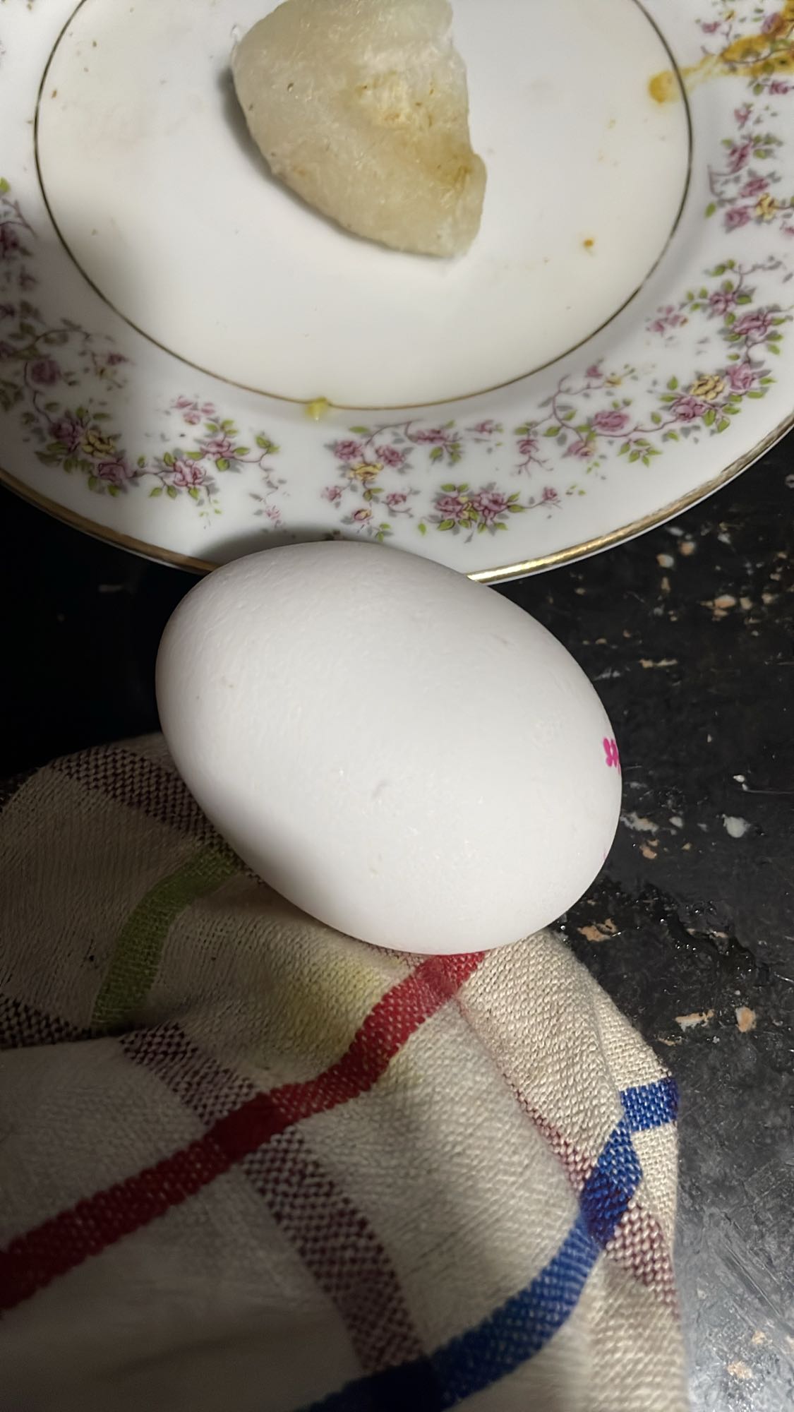 Boiled Egg