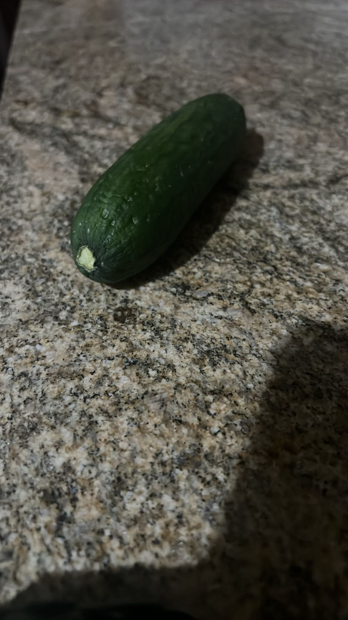 Cucumber