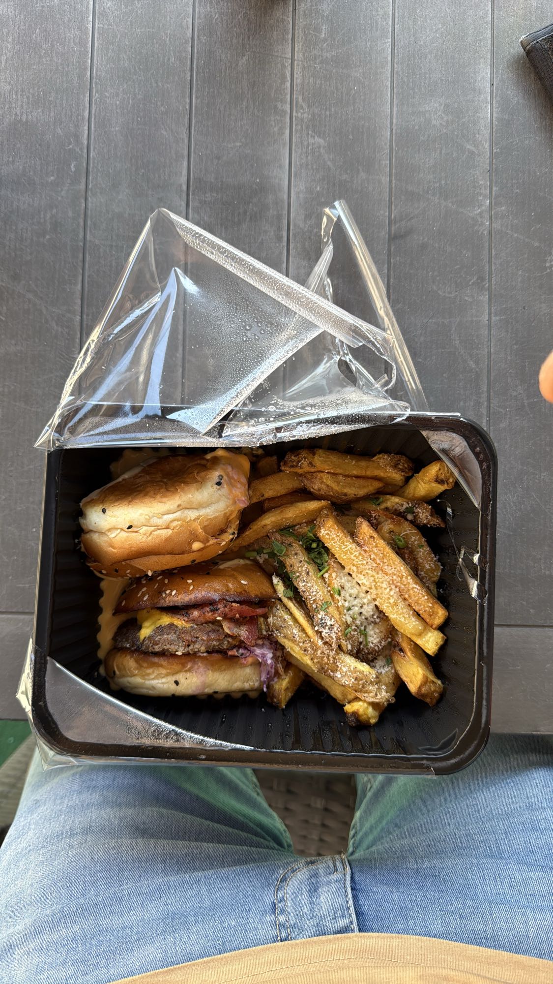 Burger and Loaded Fries