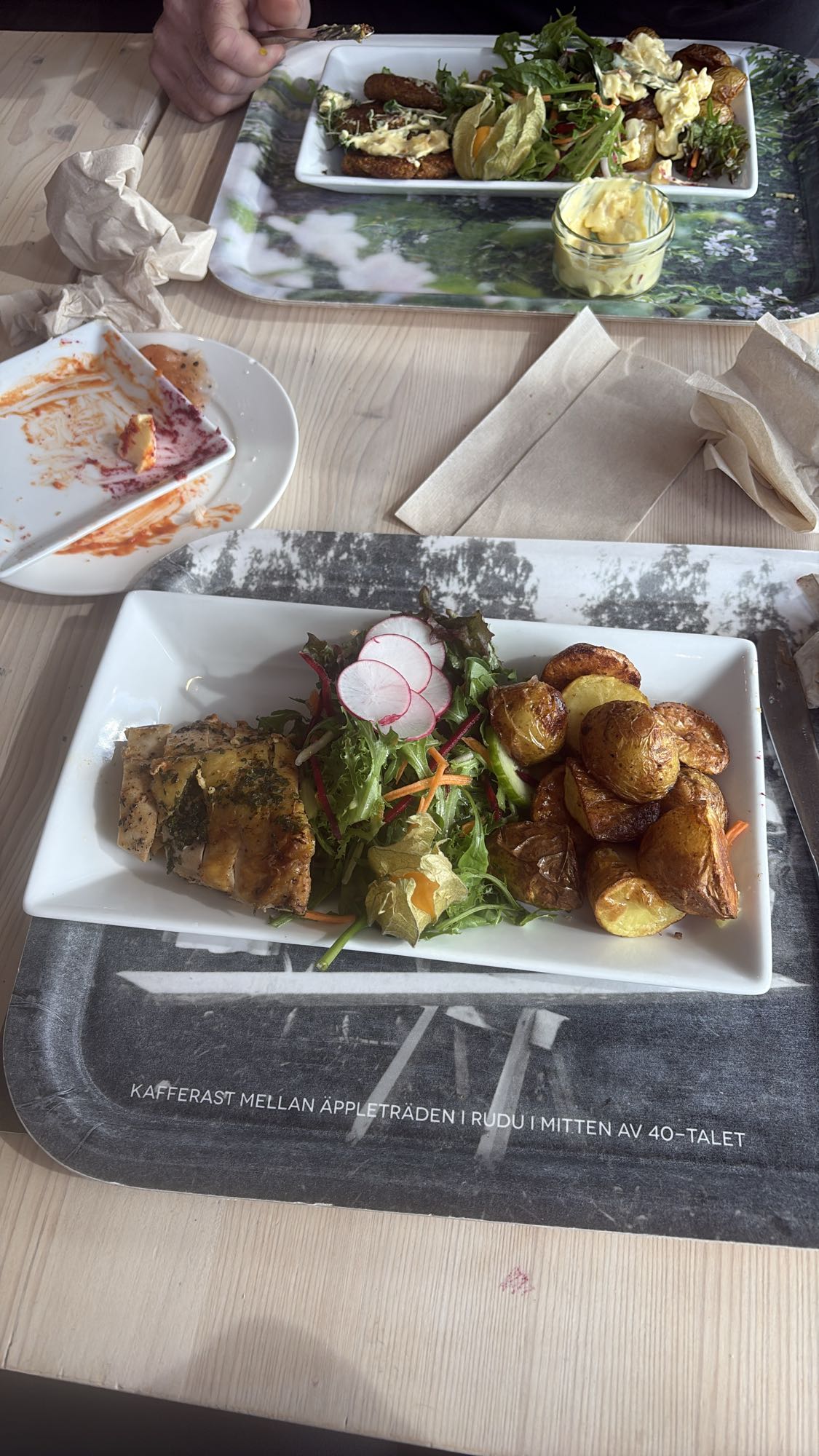 Kyckling med potatis