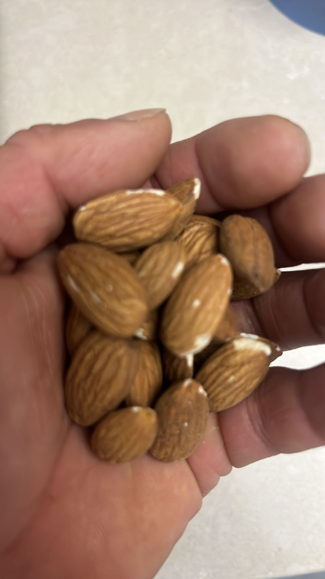 Mandorle