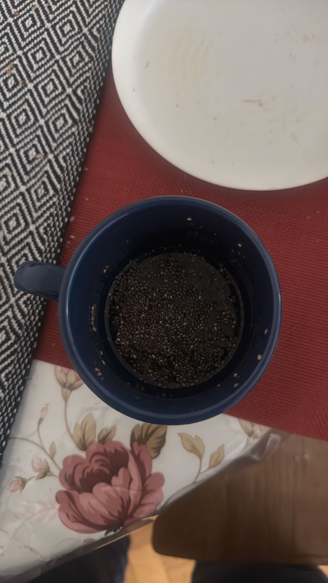 Chia Seeds in Water