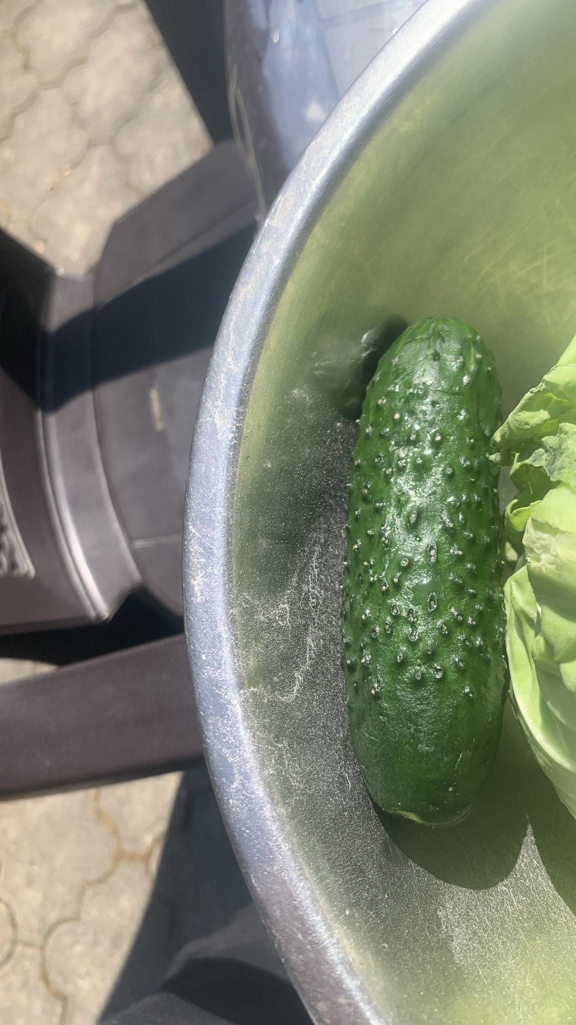 Огірок і салат