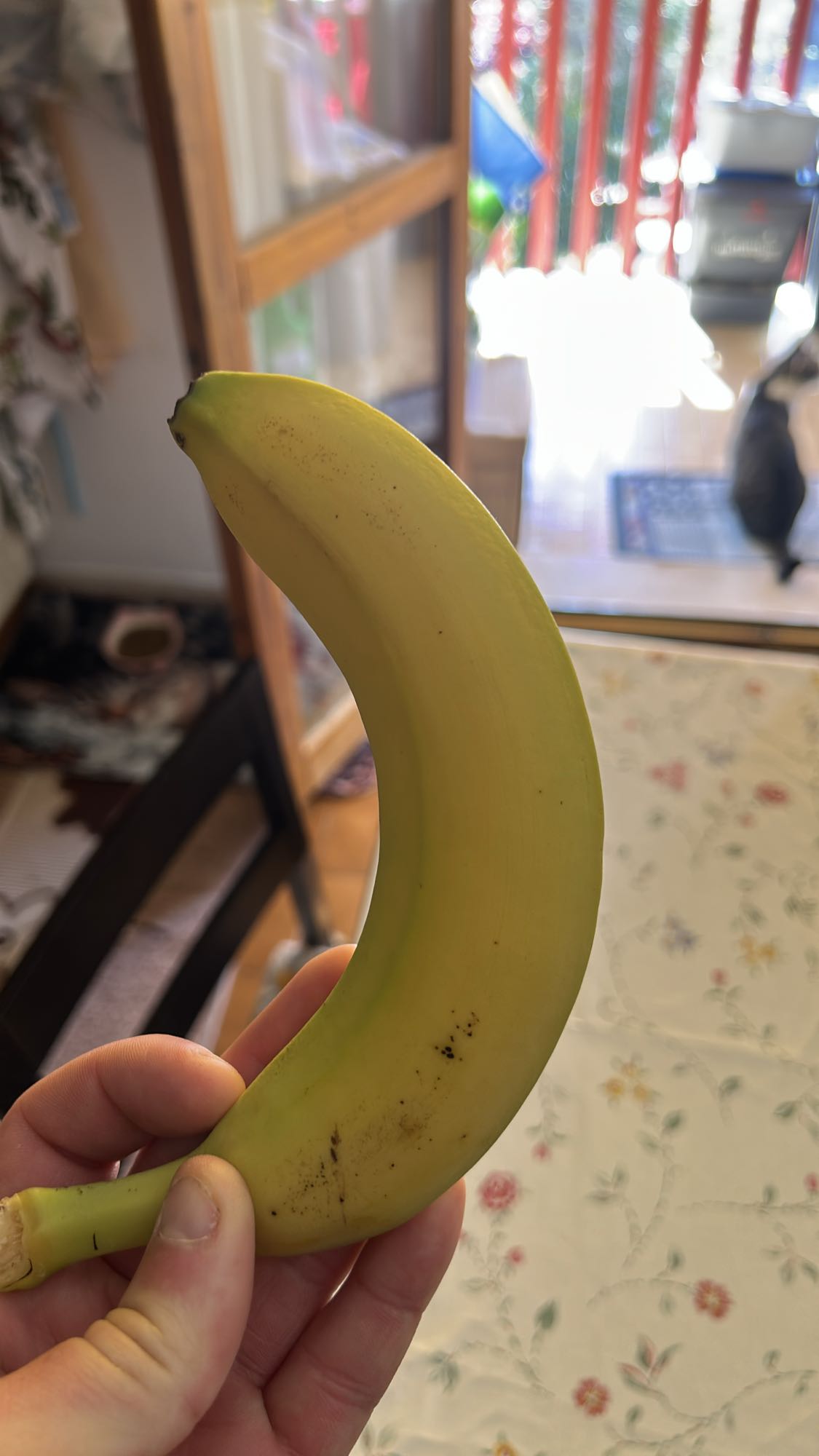 Banana