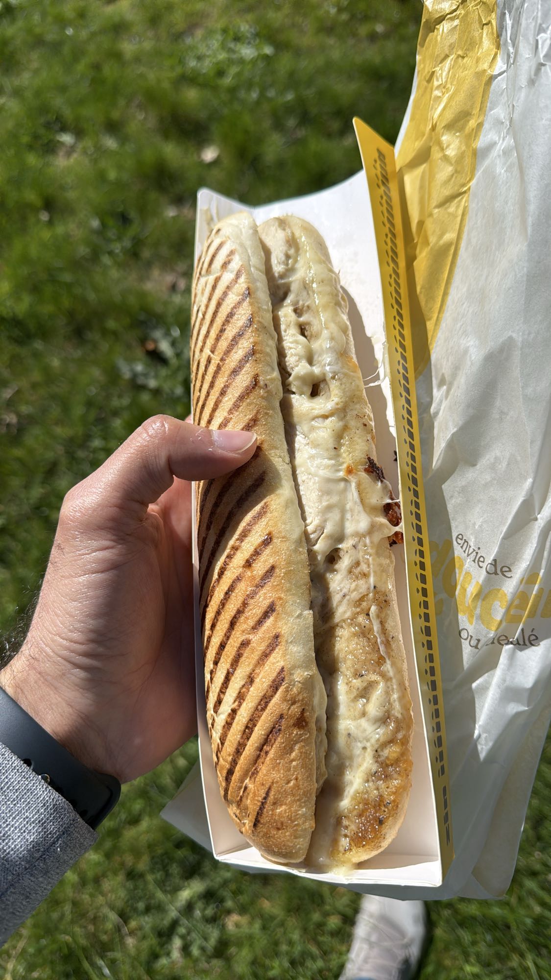 Chicken Cheese Panini