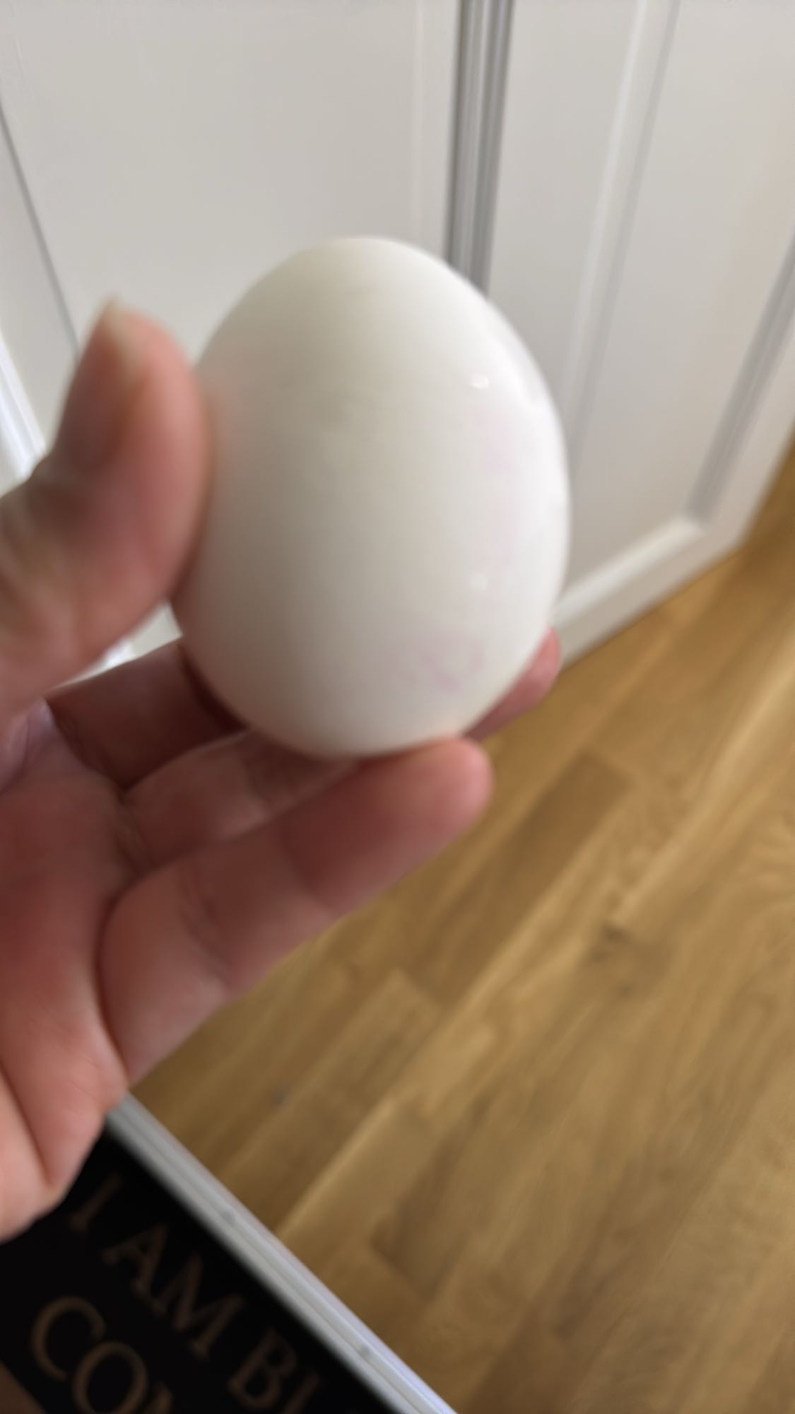 Kokt ägg