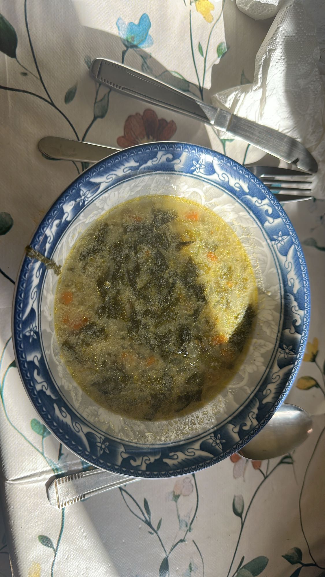 Vegetable Chicken Soup