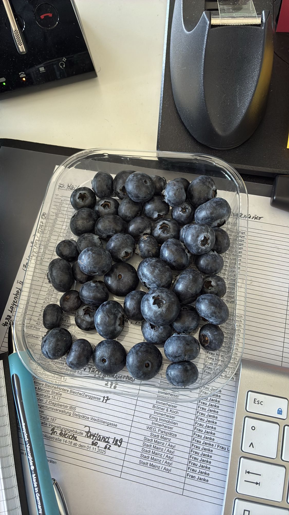 Blaubeeren