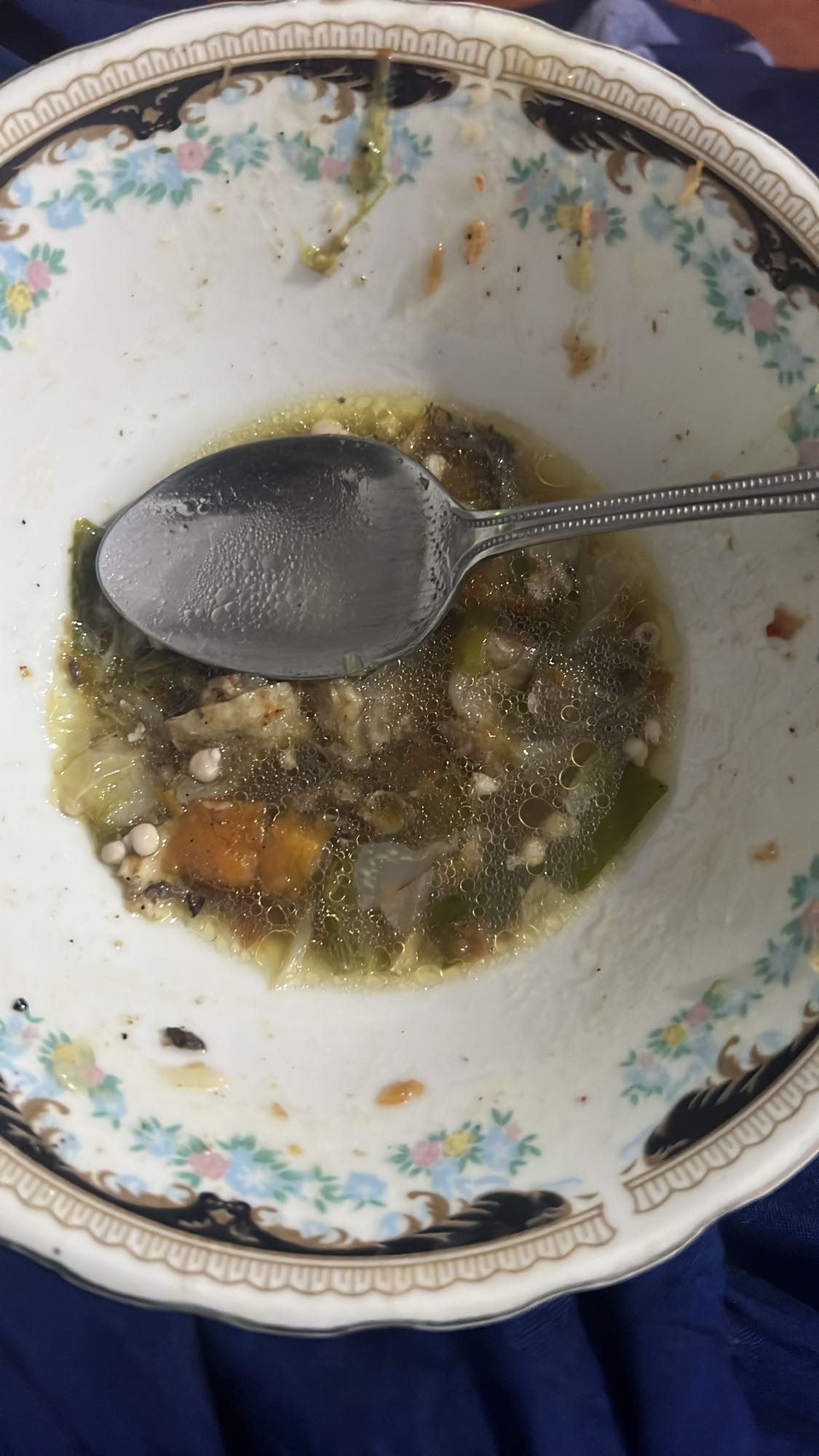 Vegetable Chicken Soup