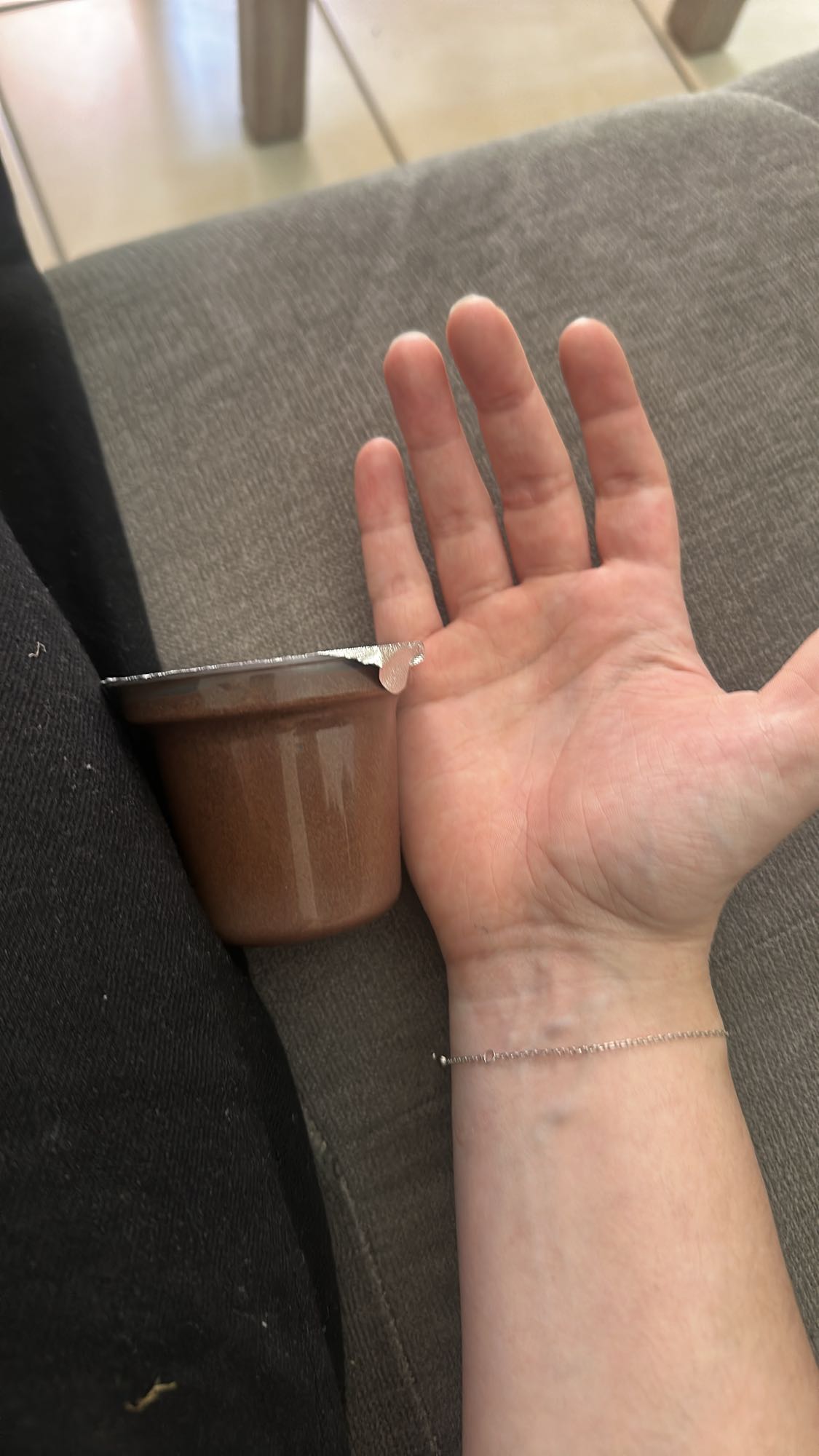 Crème dessert chocolat