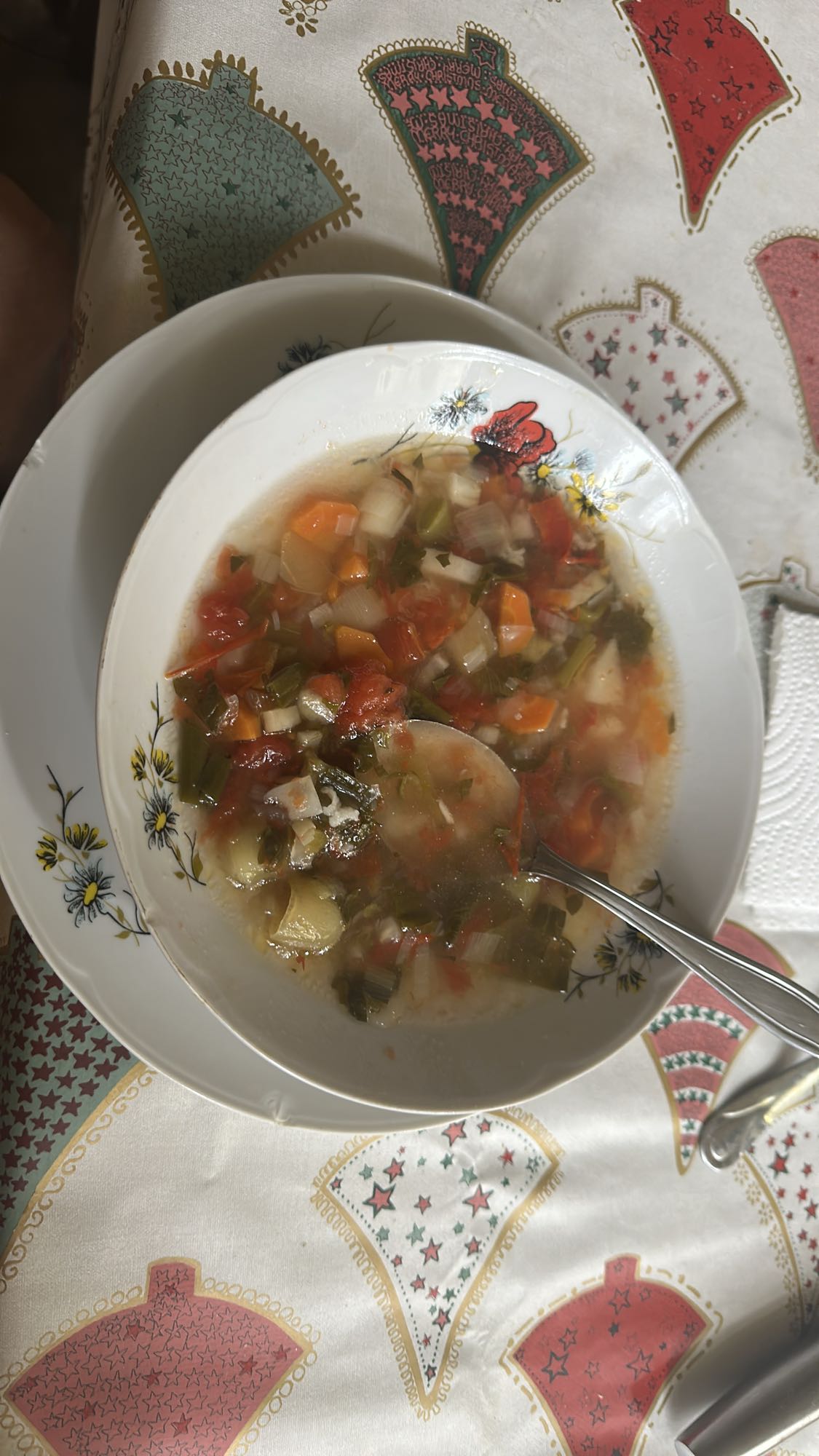 Vegetable Soup