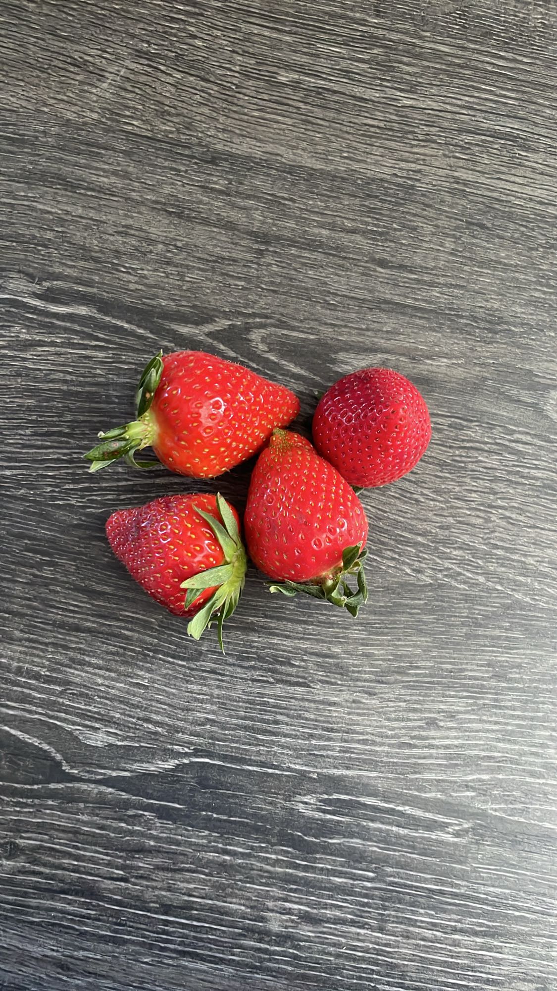 fraises fraîches