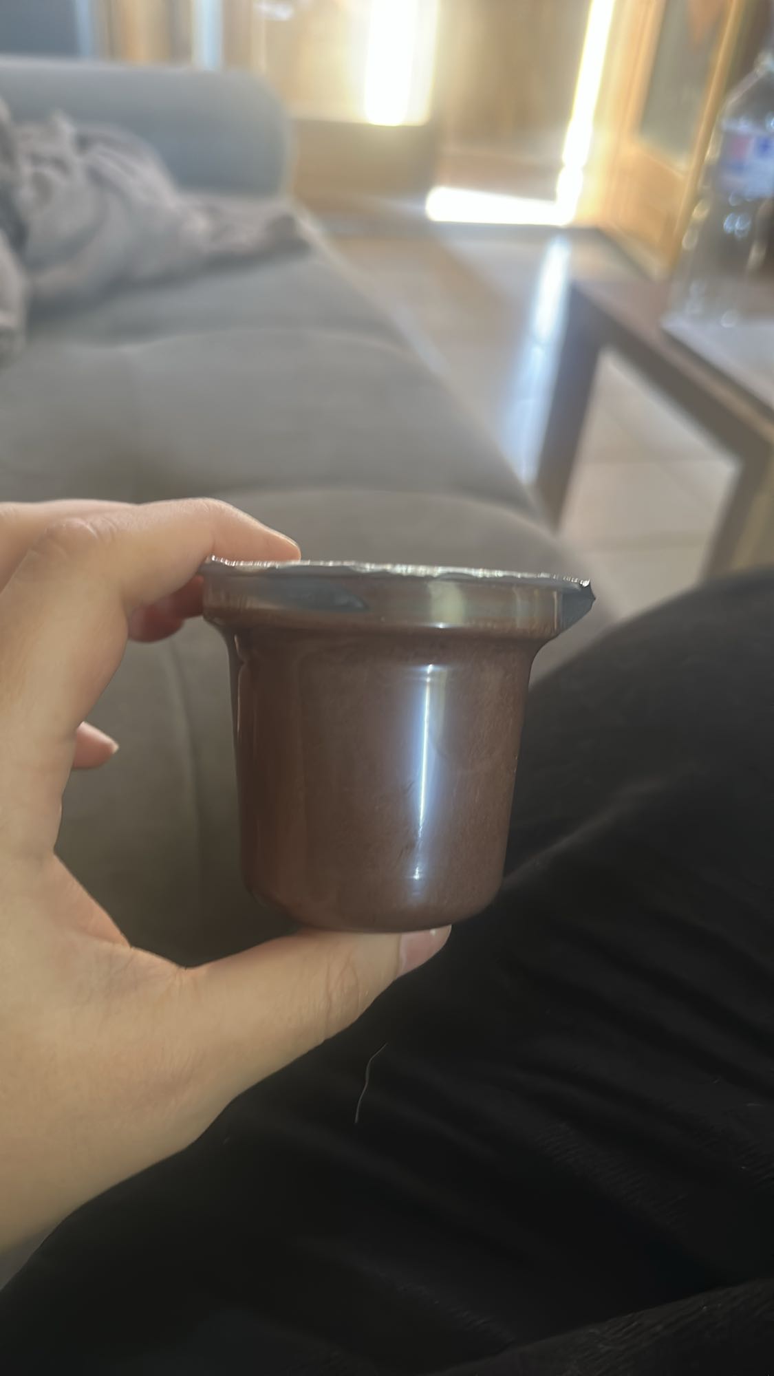 Crème dessert chocolat