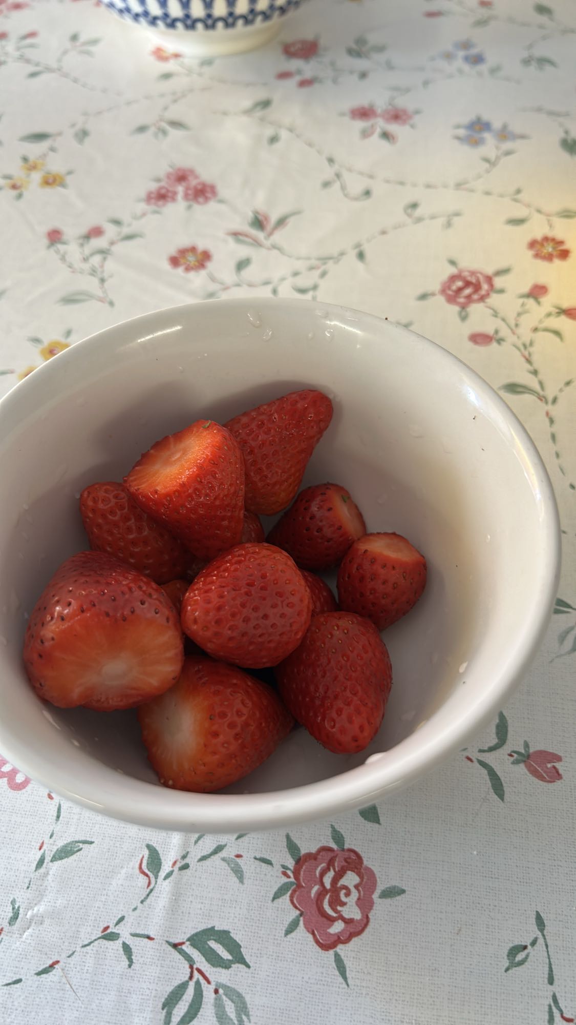 Fragole fresche
