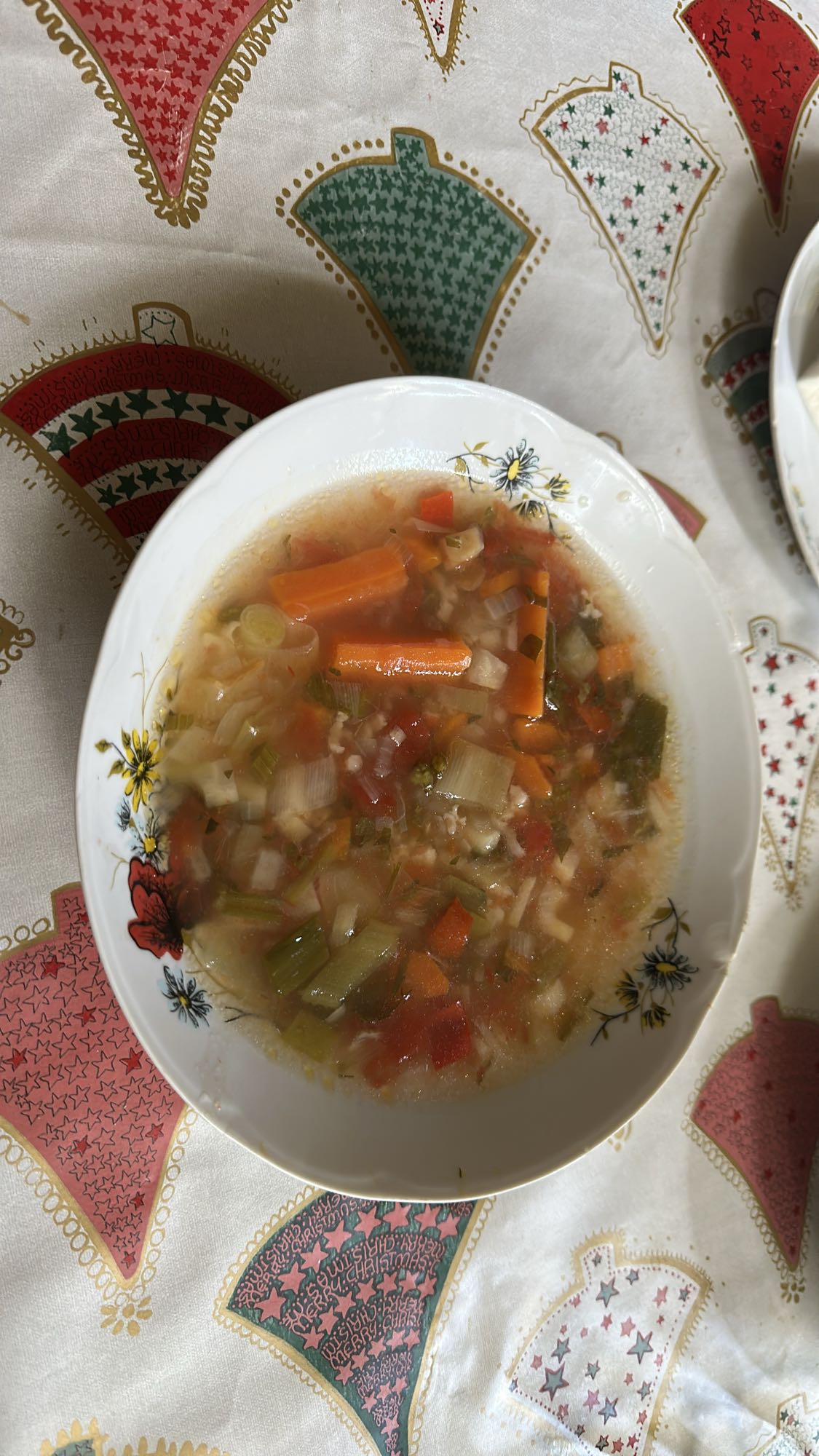 Vegetable Soup