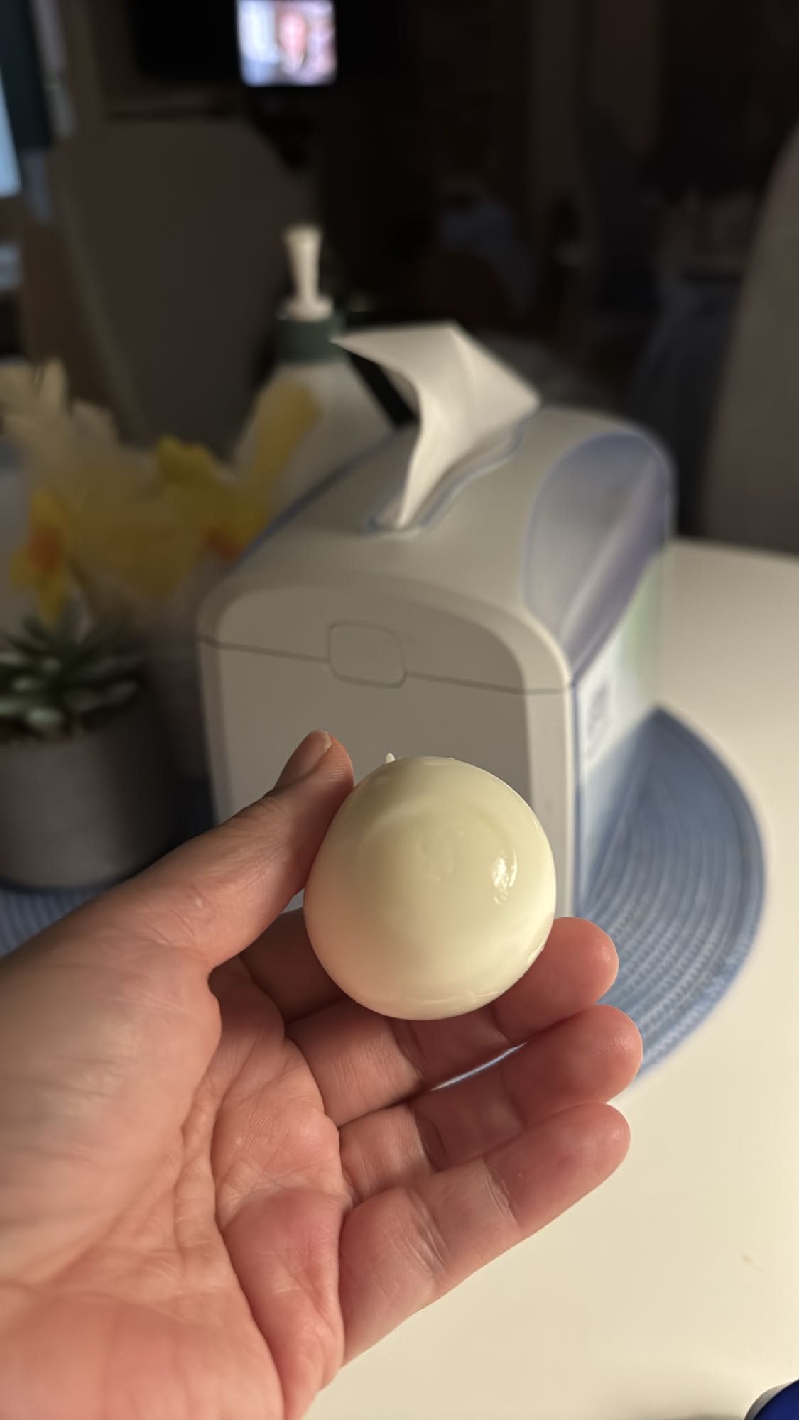 Kokt ägg