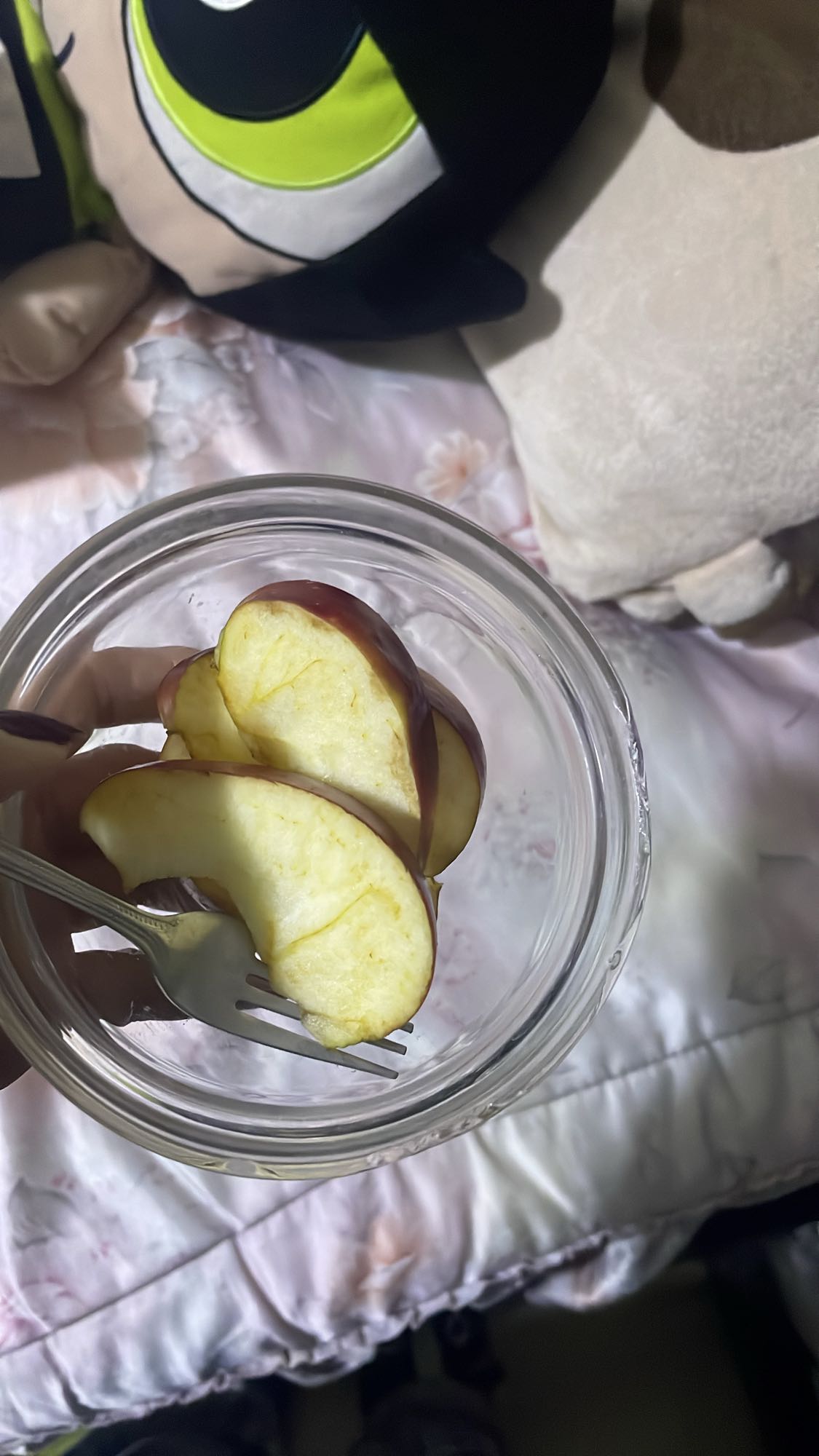 Apple Slices