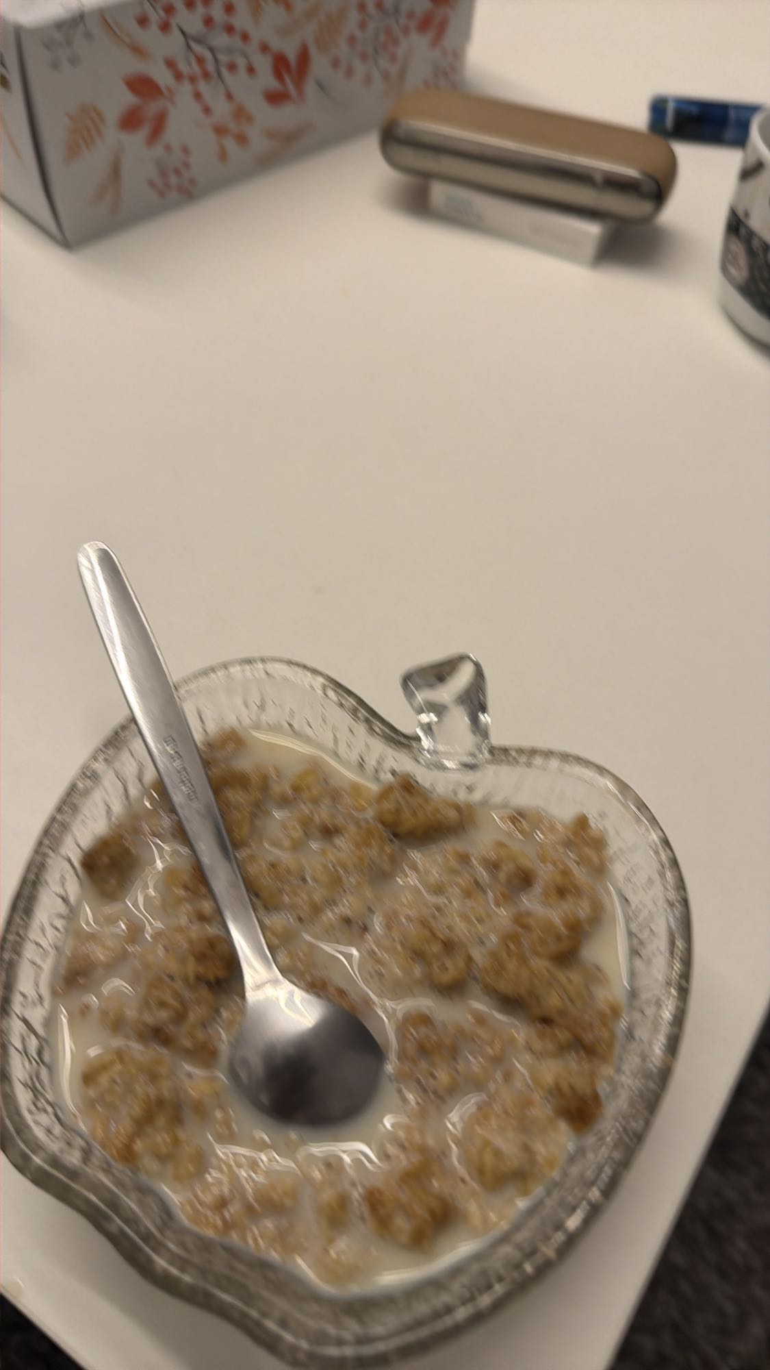 Muesli mit Milch