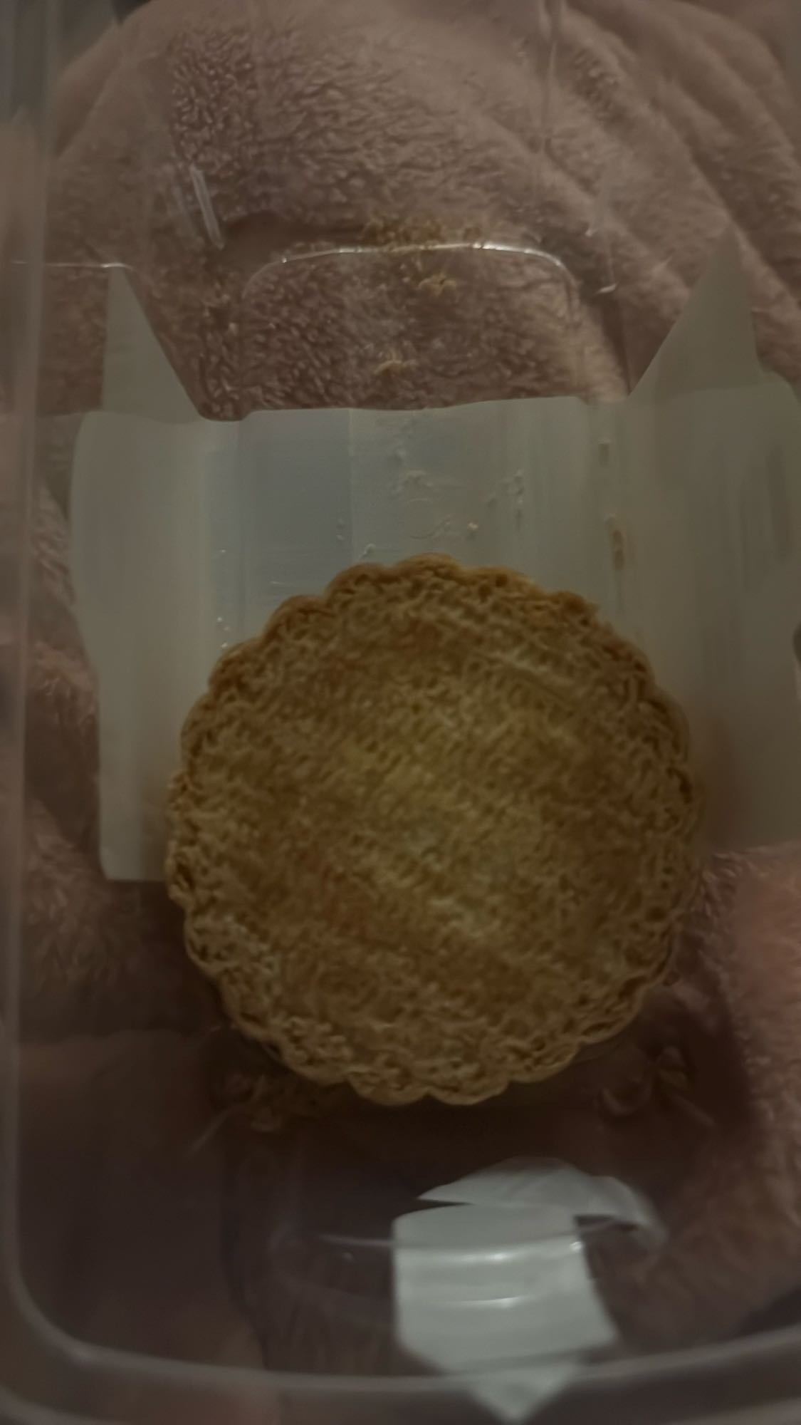 Stroopwafel