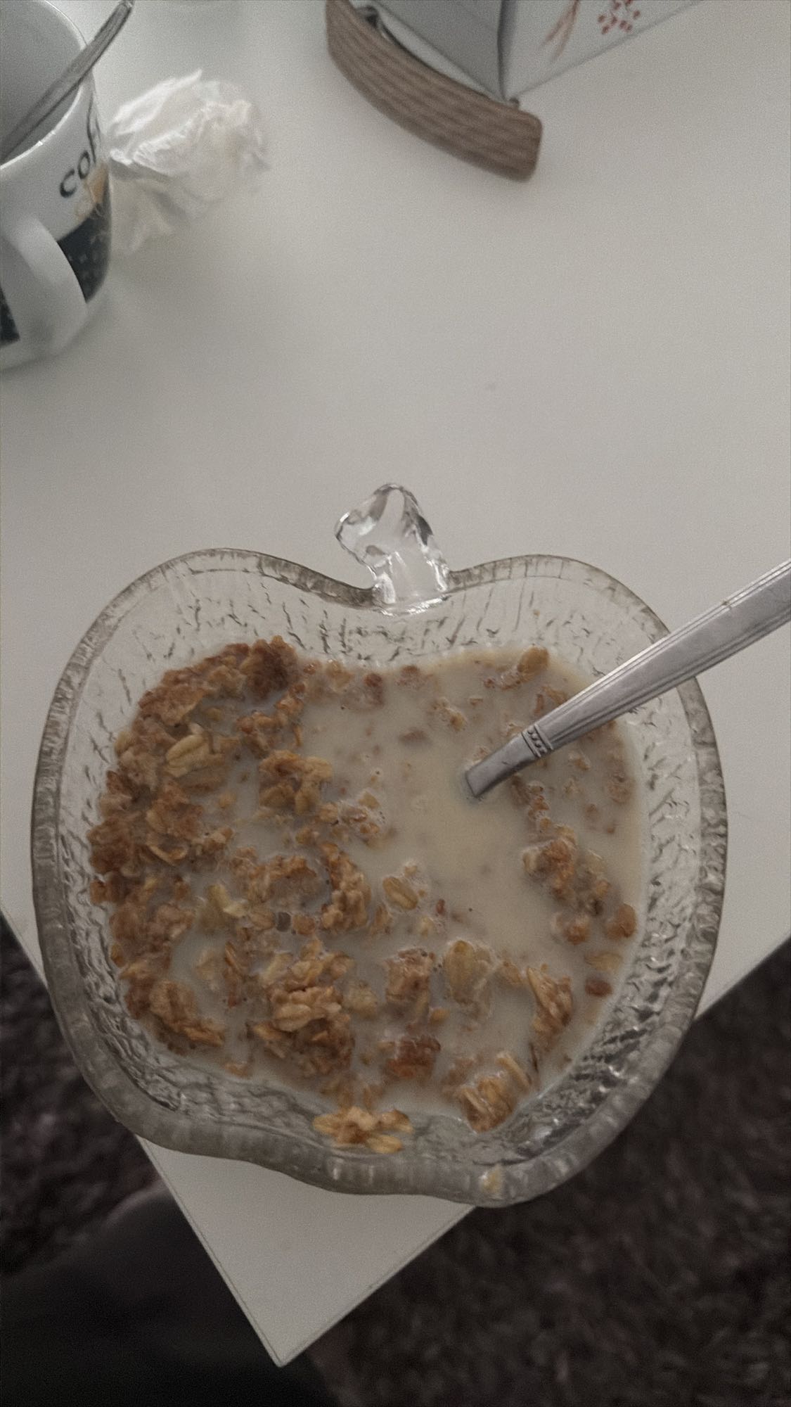 Müsli mit Milch