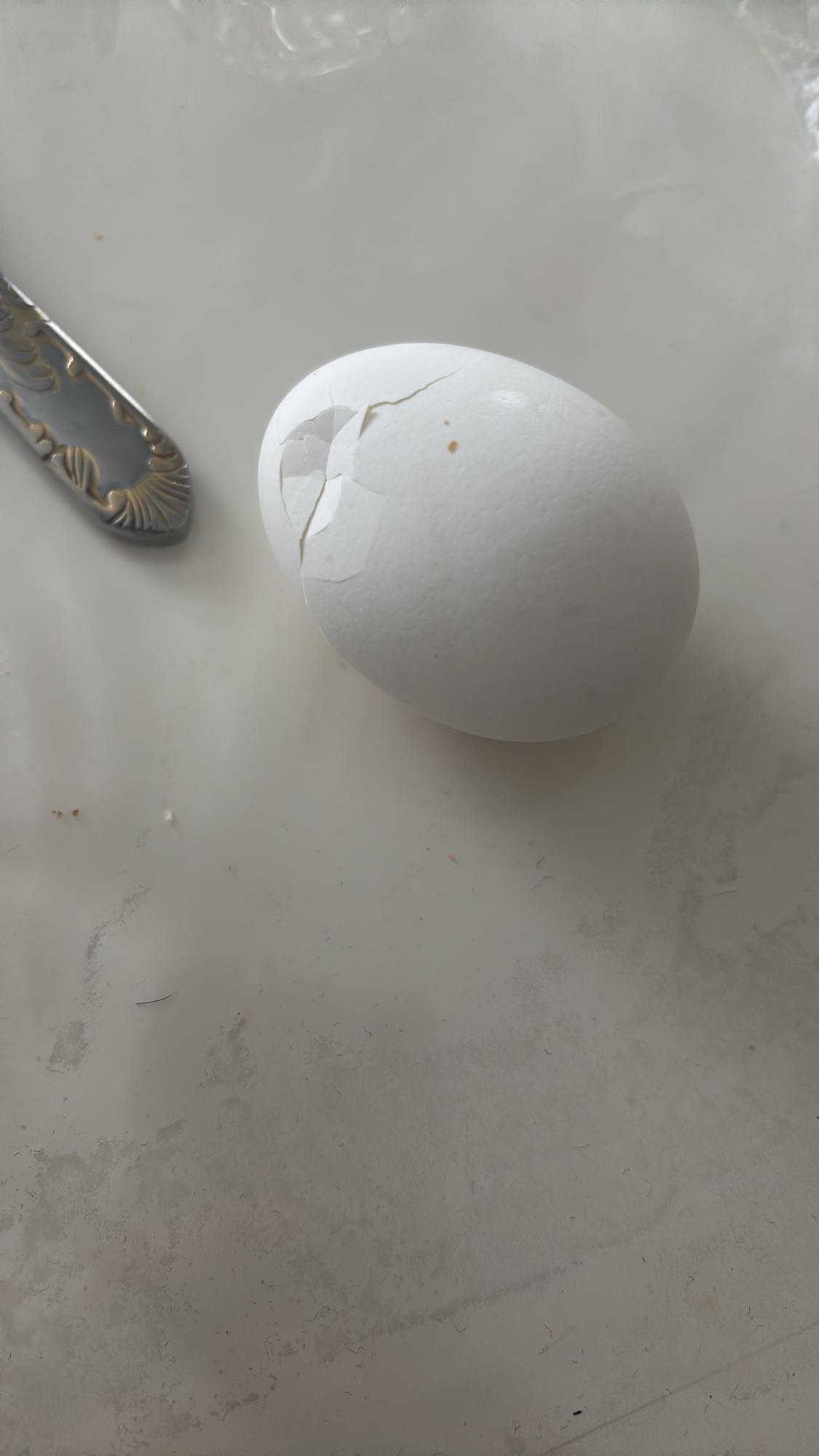 Kokt ägg
