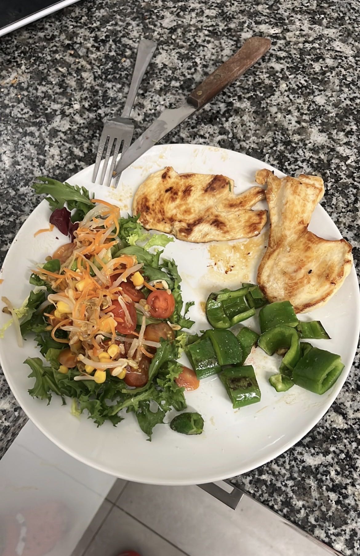 pollo con ensalada